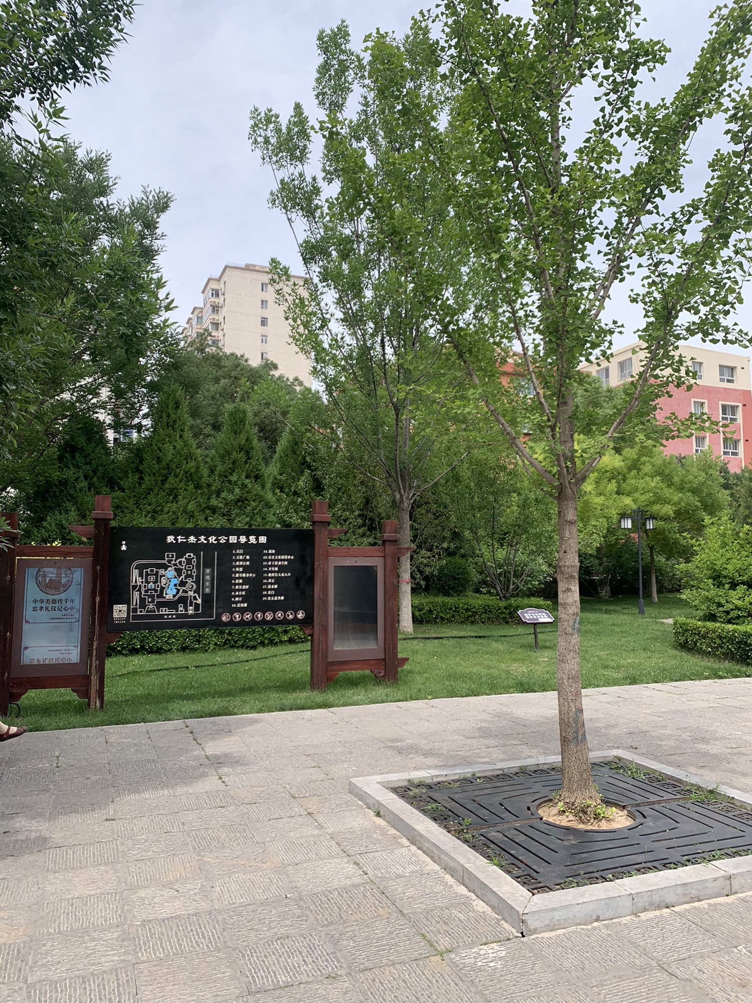 狄仁杰文化公园旅行图片 2