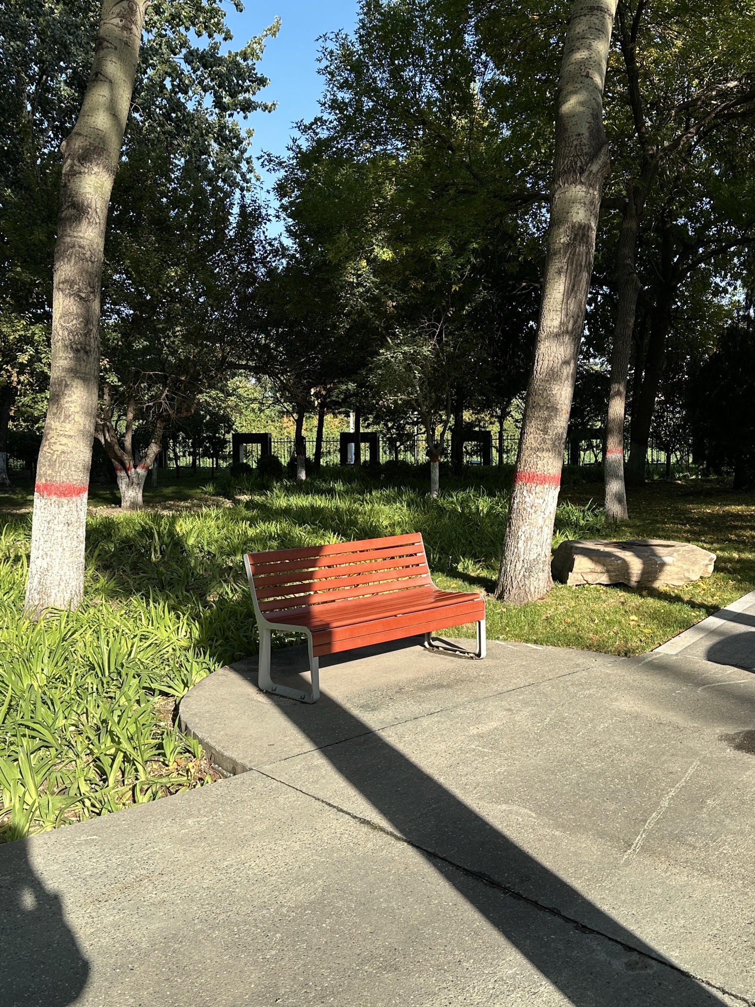 青年园旅行图片 2