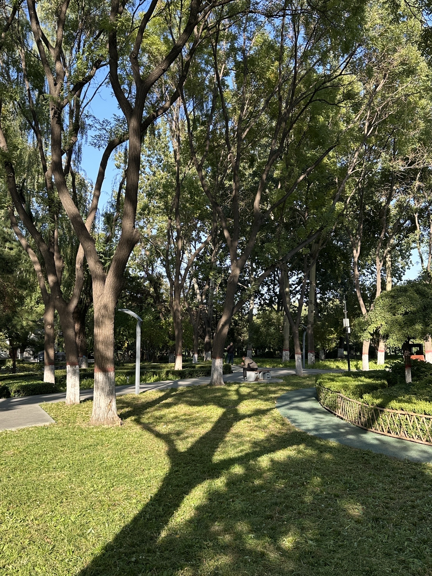 青年园旅行图片 1