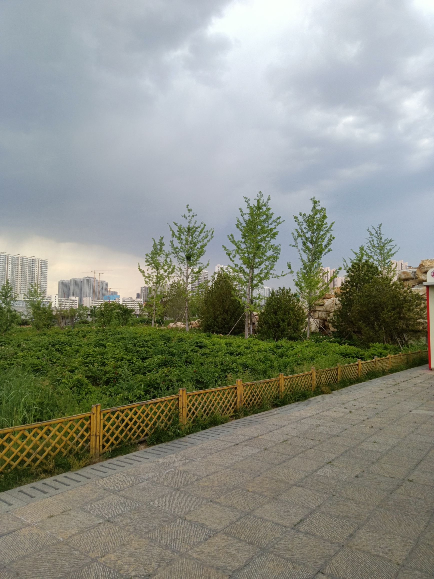 双塔花园旅行图片 3