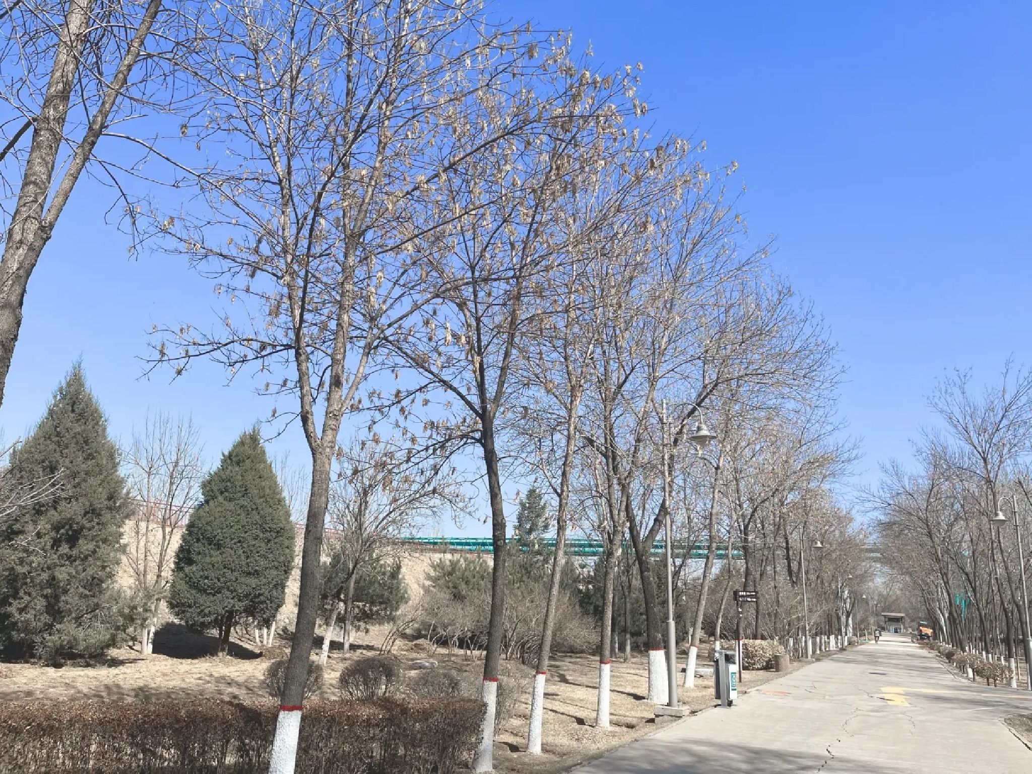 南寨公园旅行图片 1