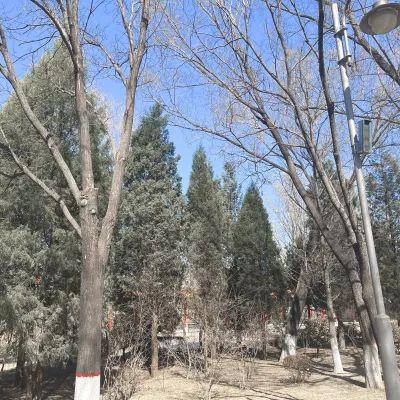南寨公园旅行图片 3