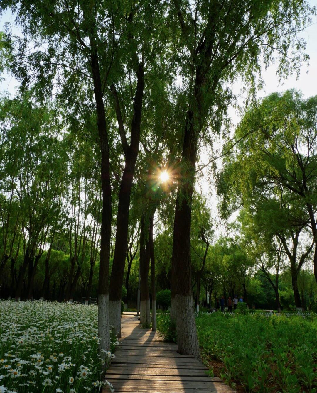 南寨公园旅行图片 2