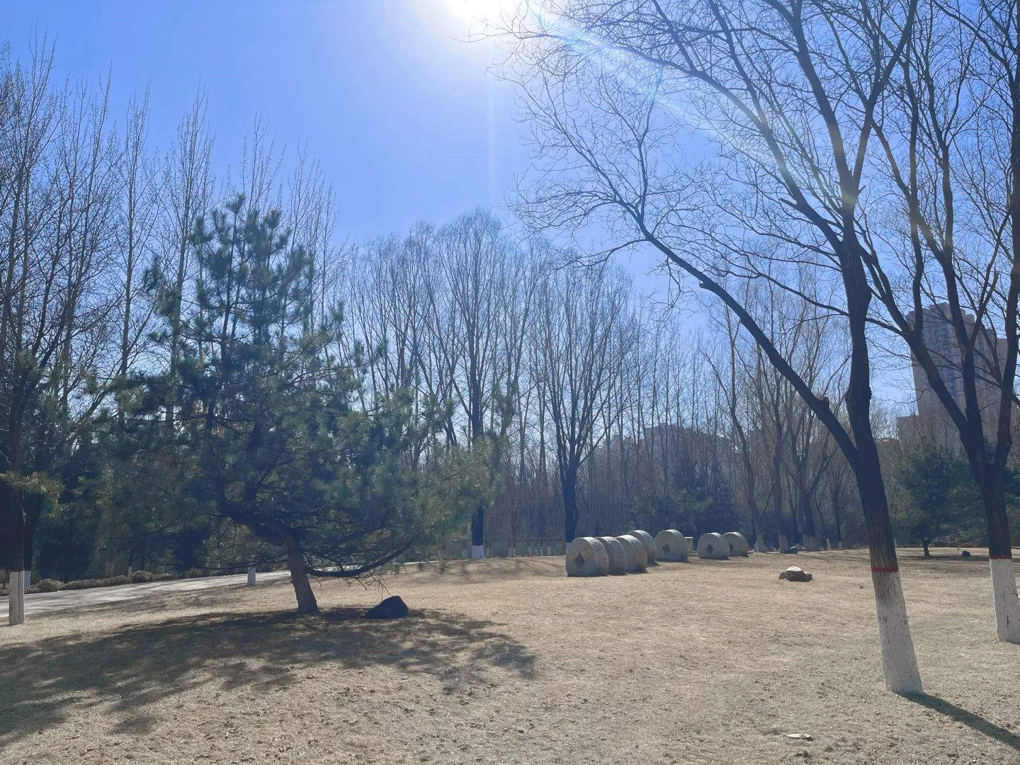 南寨公园旅行图片 2