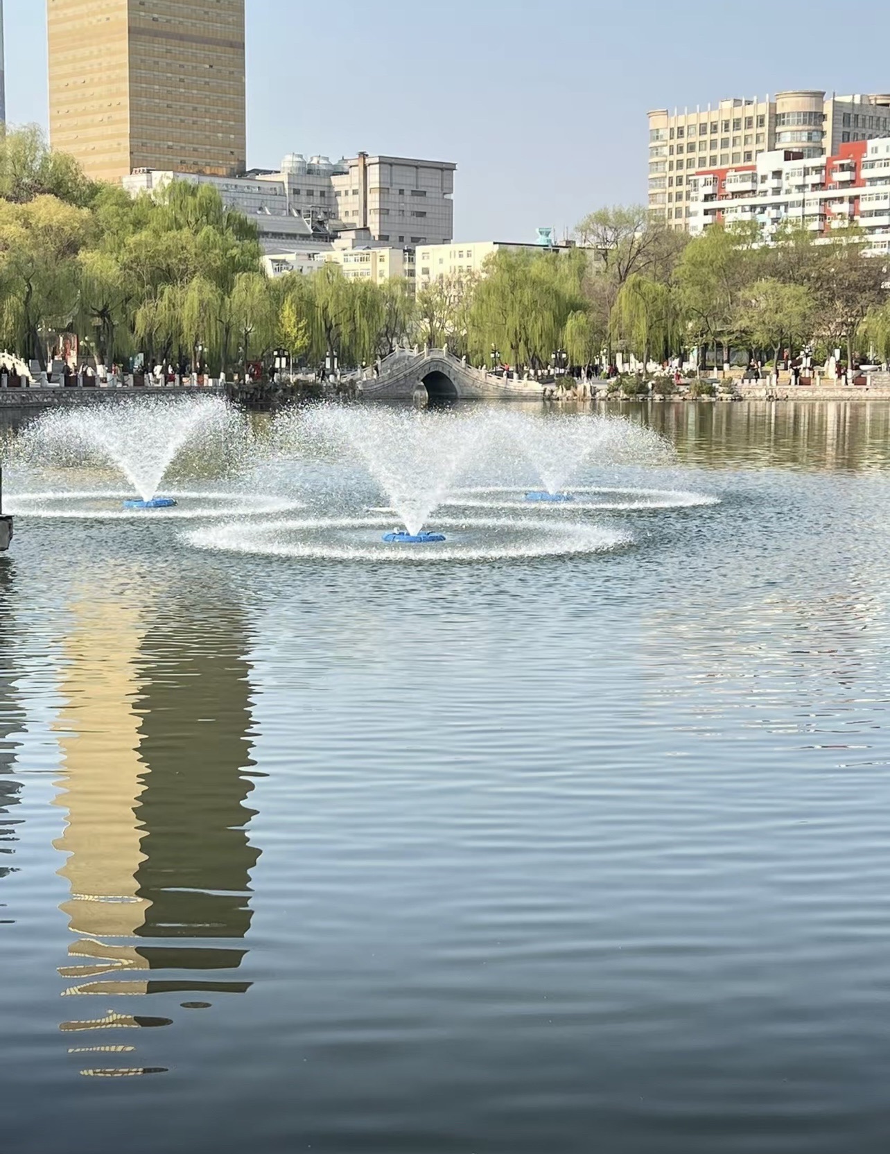 文瀛公园旅行图片 1