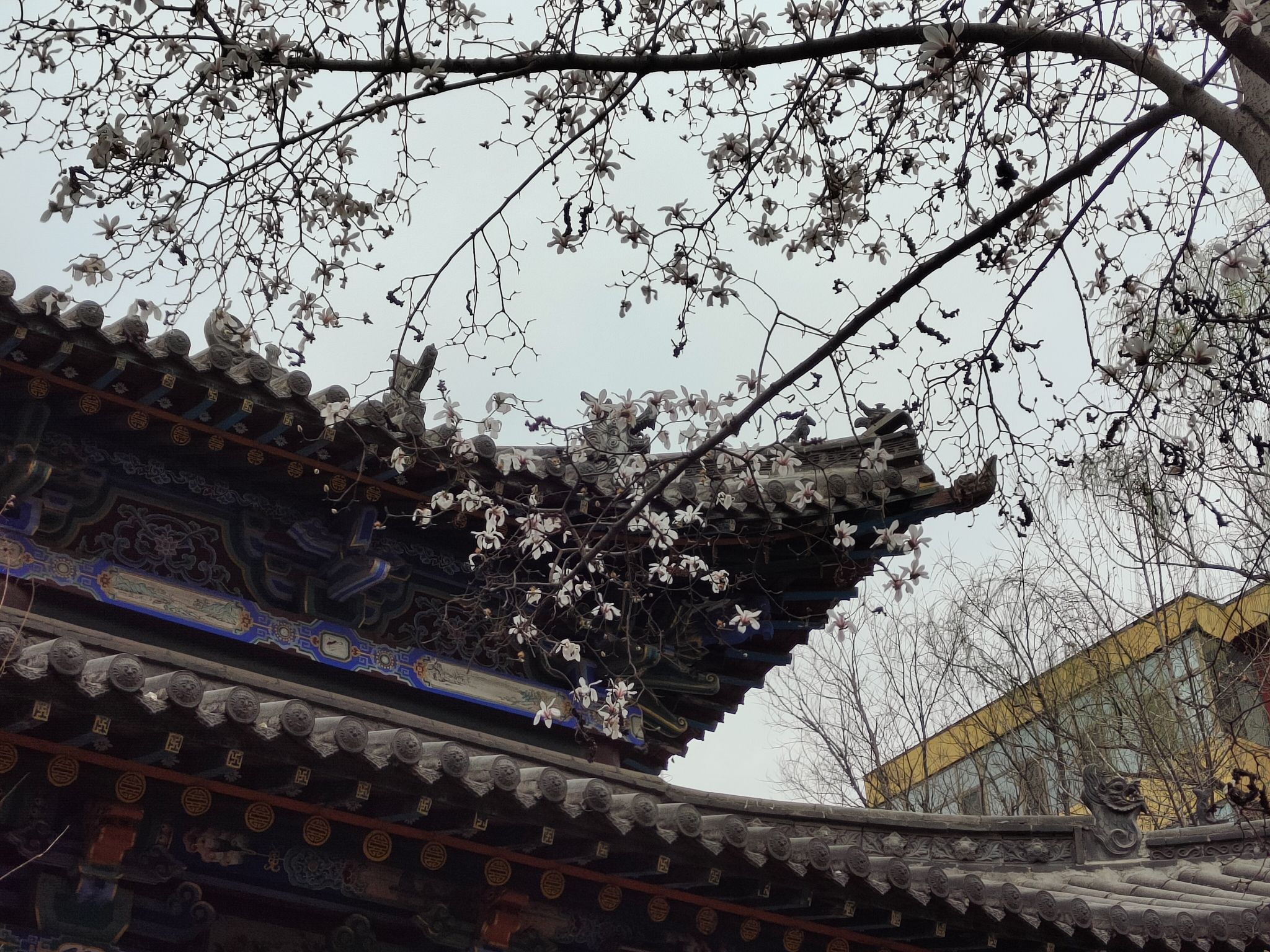 碑林公园旅行图片 1