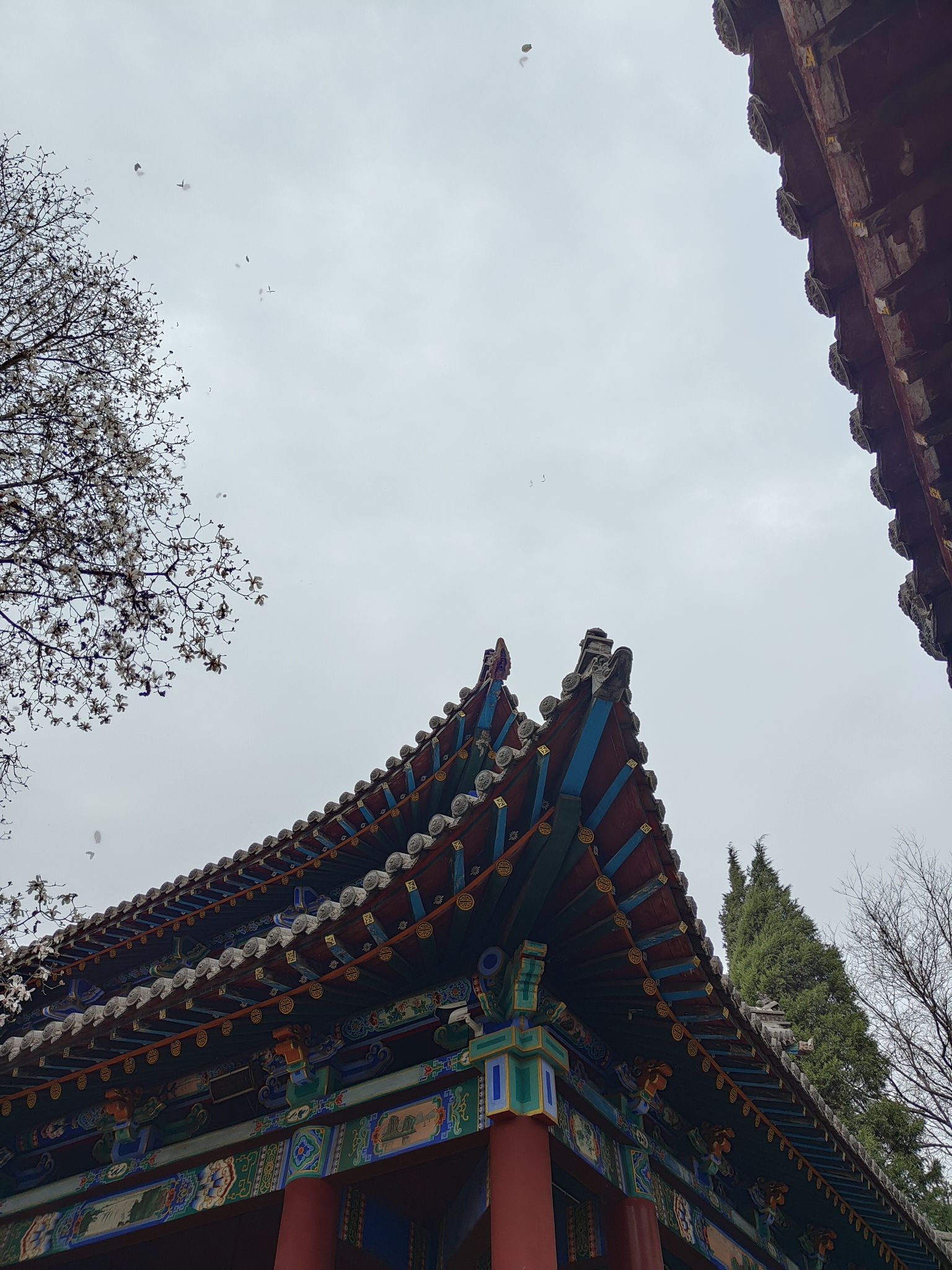 碑林公园旅行图片 2