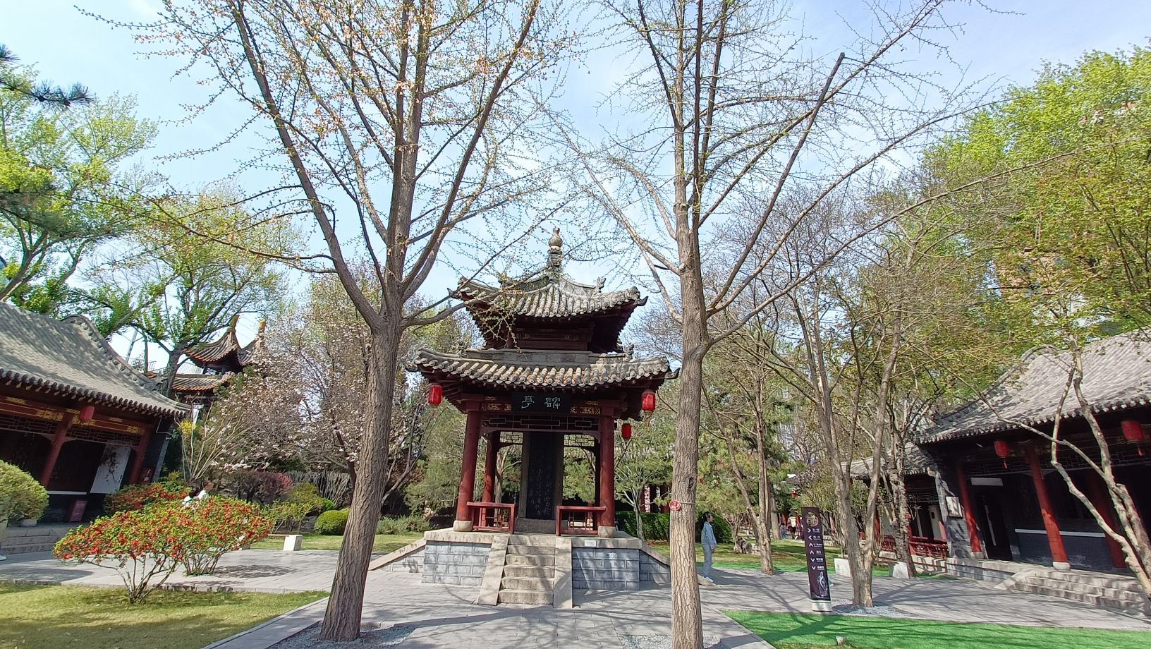 碑林公园旅行图片 3
