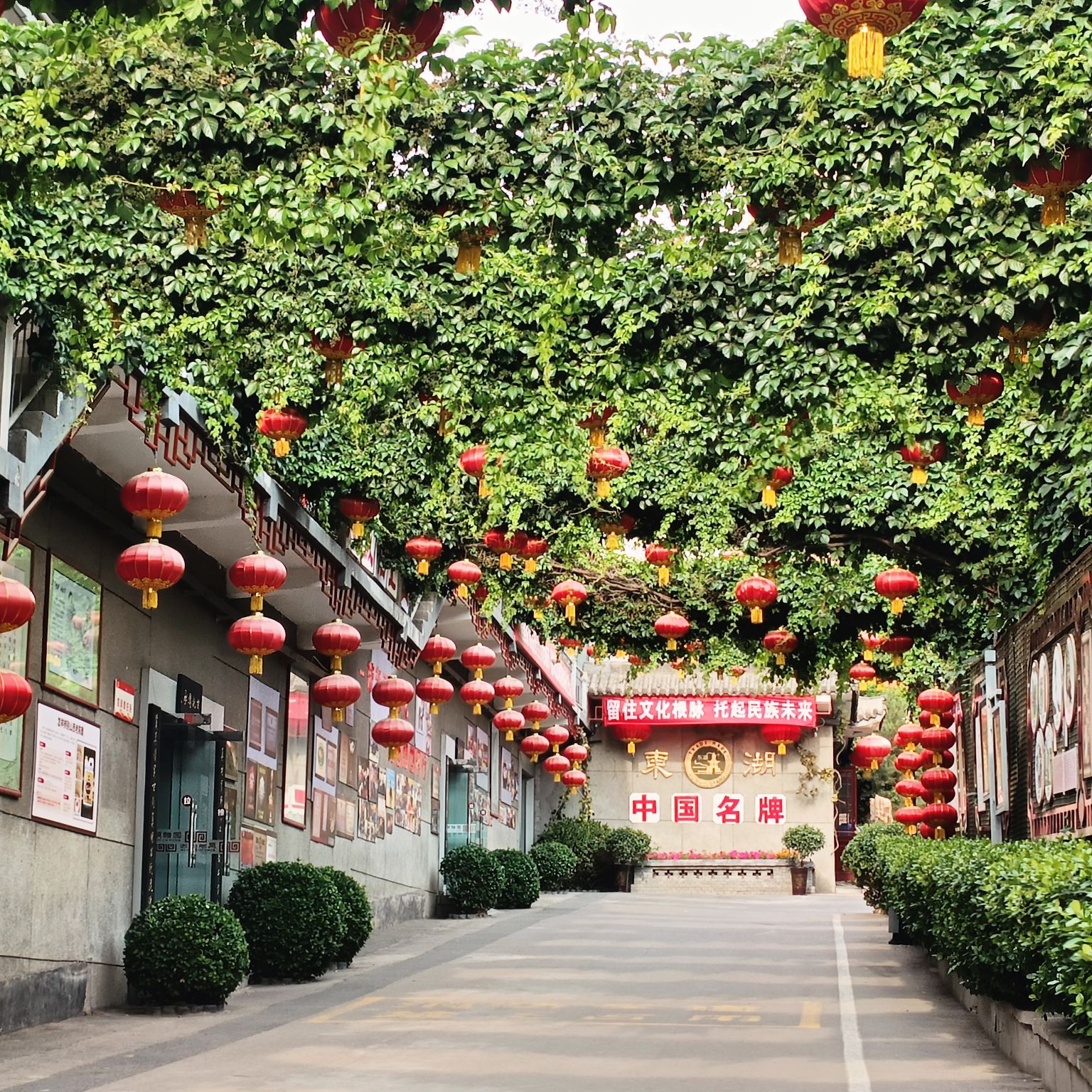 东湖醋园旅行图片 3