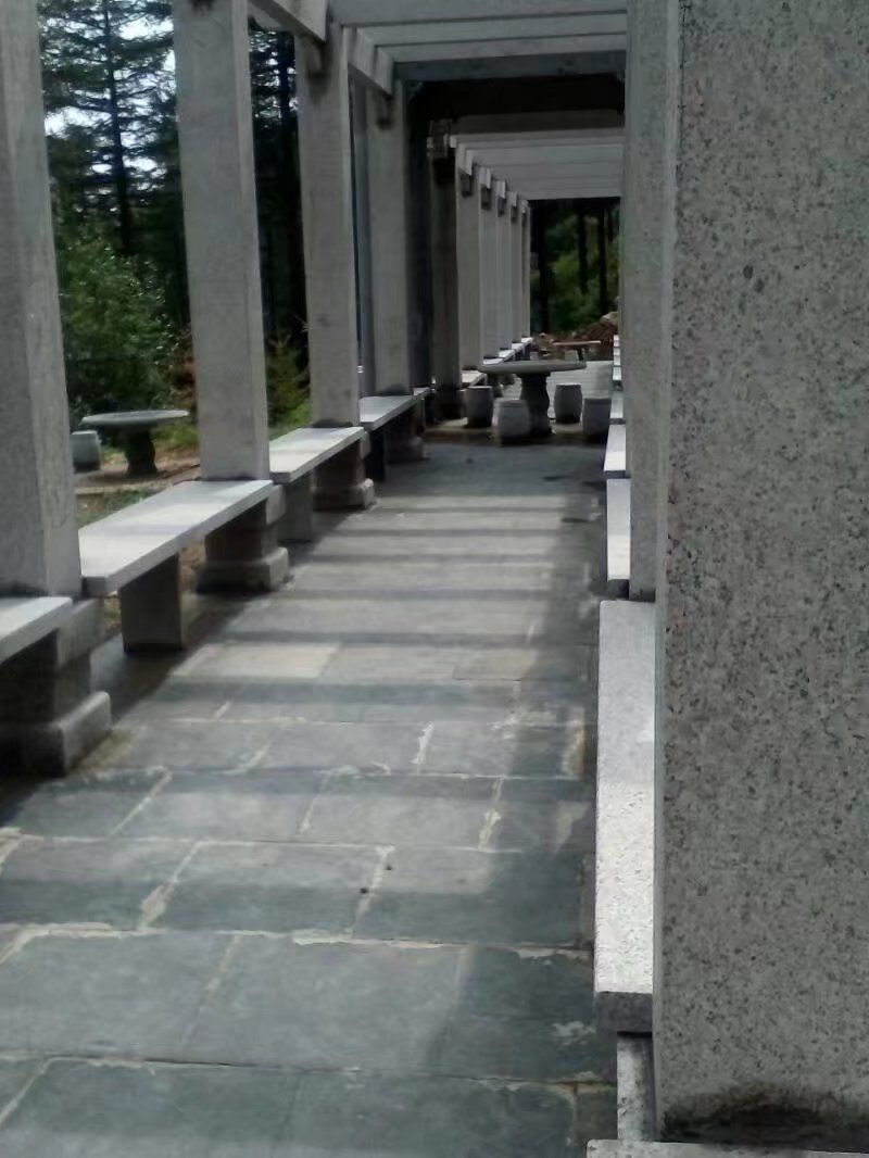 娄烦森林公园旅行图片 1