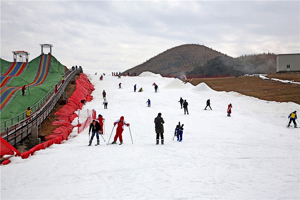 九龙国际文化生态旅游园区旅行图片 2