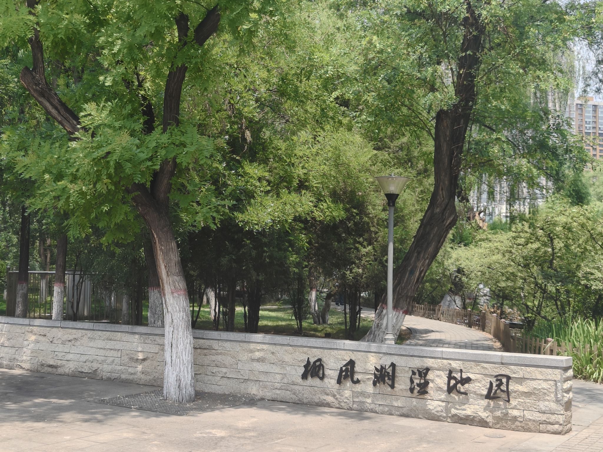 龙潭公园旅行图片 2