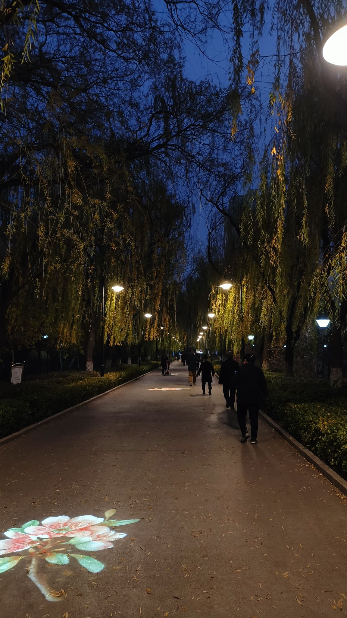 龙潭公园旅行图片 1