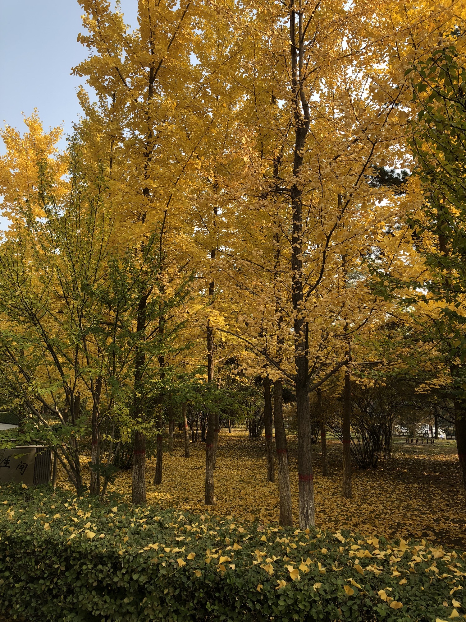 太原市森林公园旅行图片 3