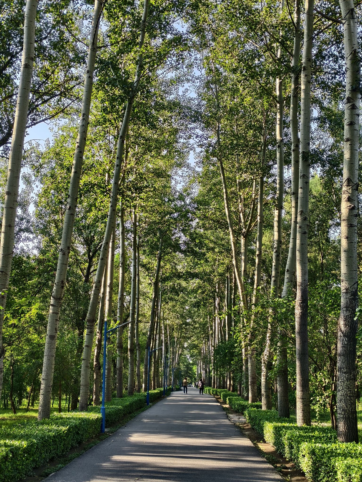 太原市森林公园旅行图片 3
