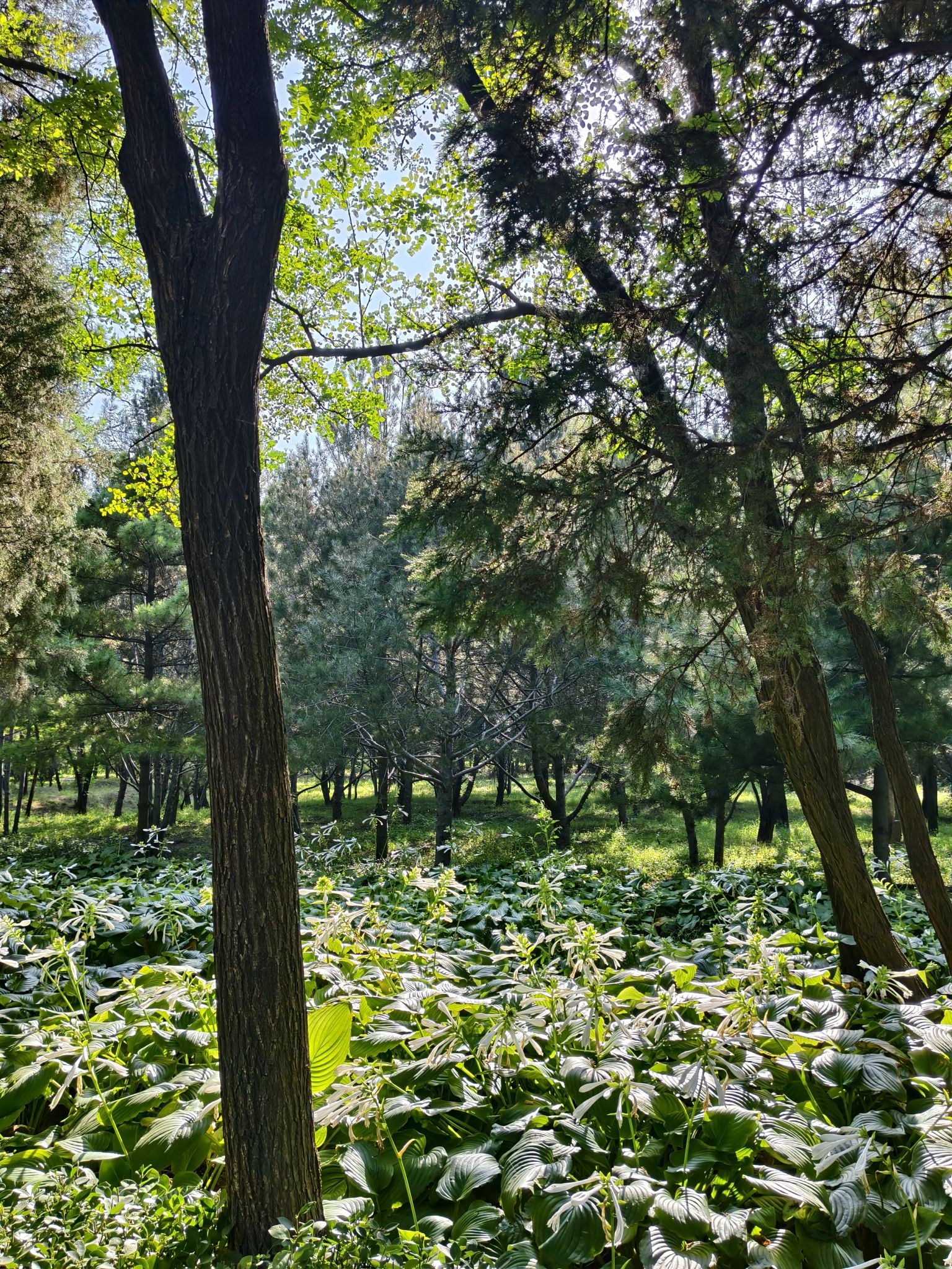 太原市森林公园旅行图片 2