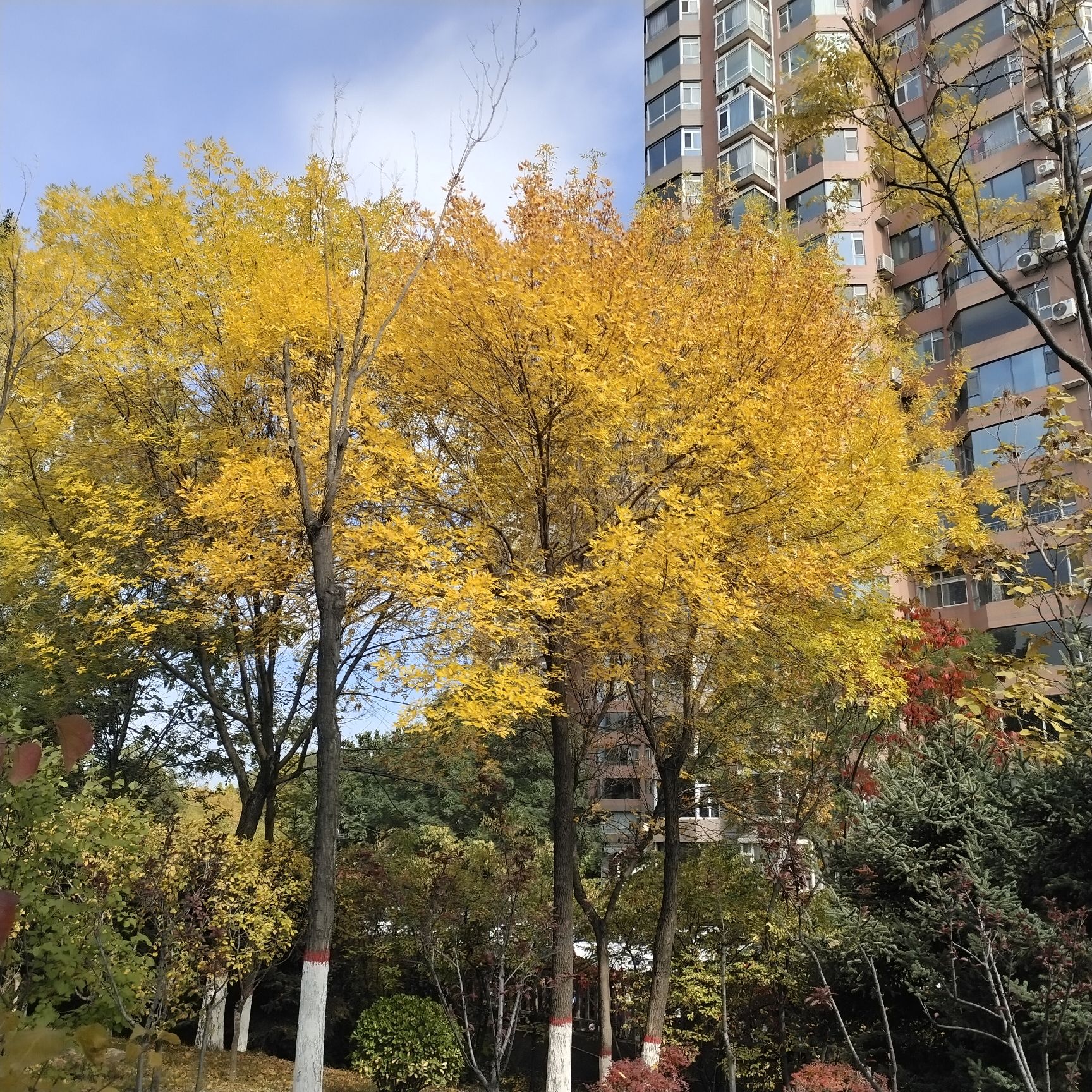 漪汾公园旅行图片 3