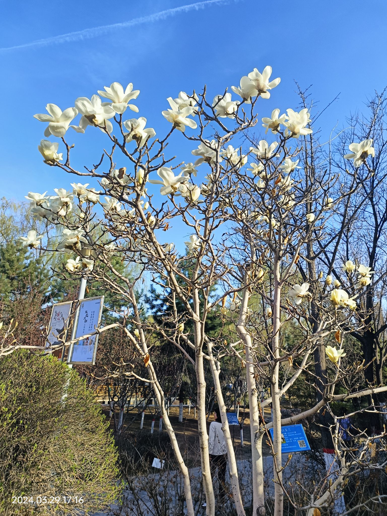 漪汾公园旅行图片 1