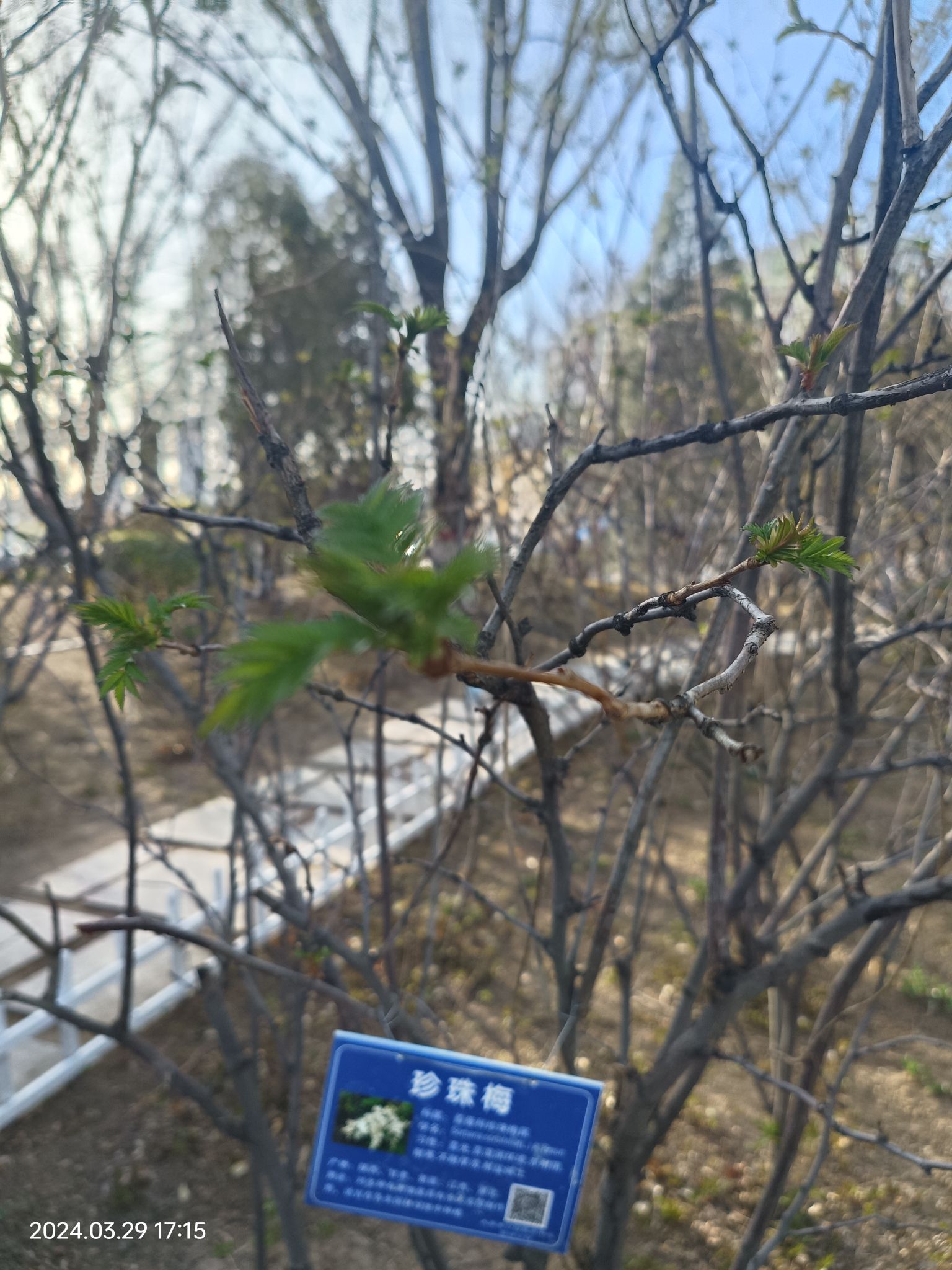 漪汾公园旅行图片 2