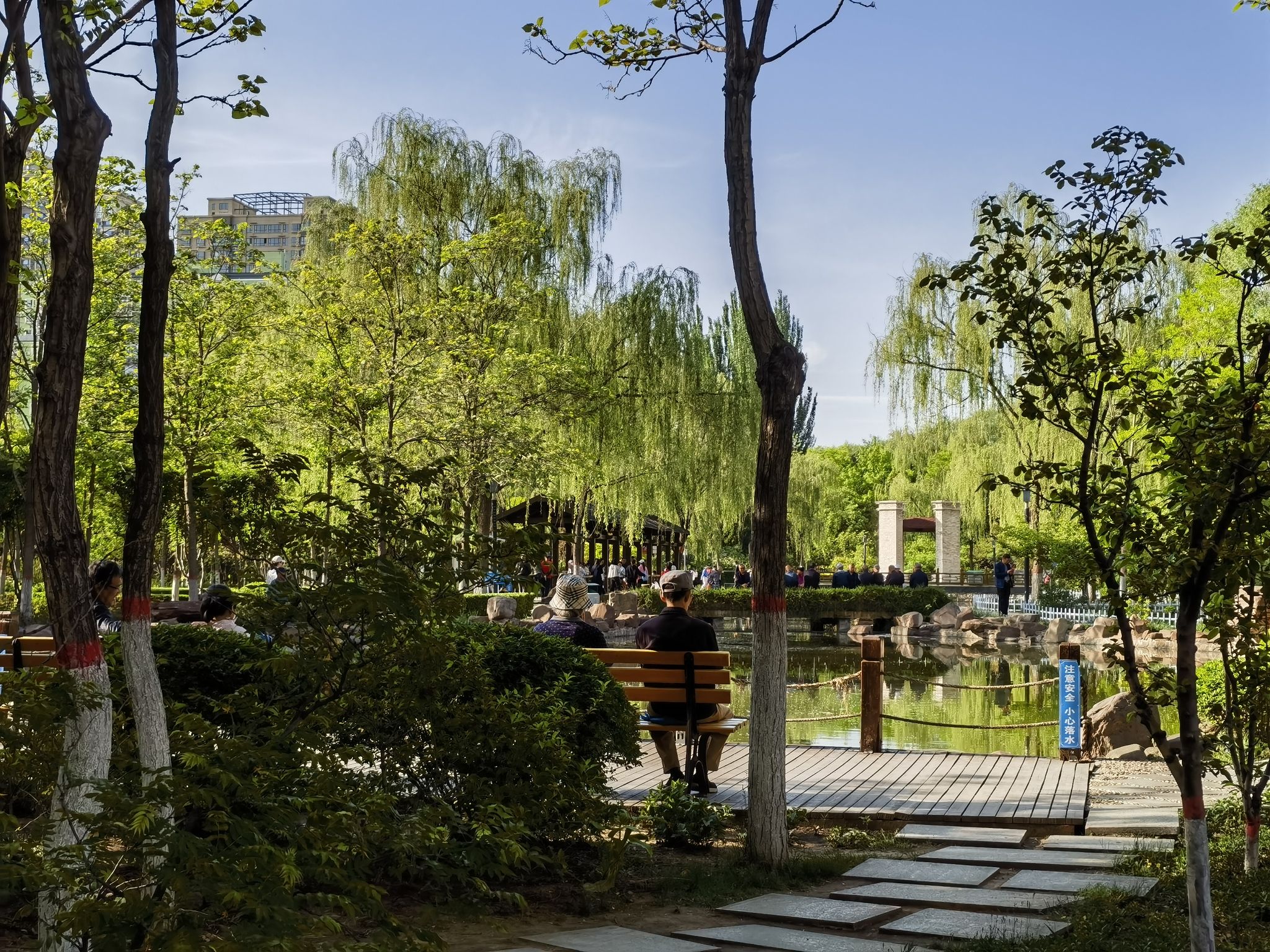 漪汾公园旅行图片 3
