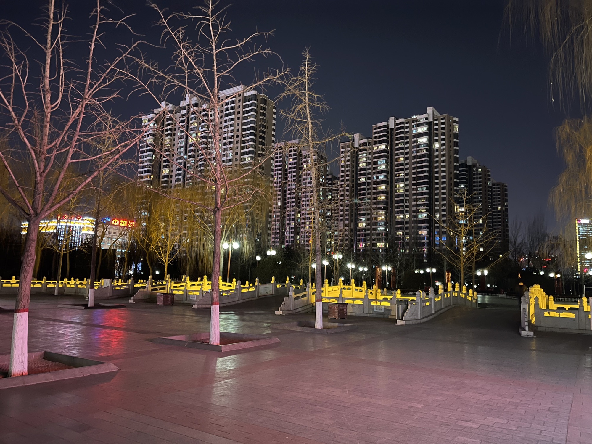 学府公园旅行图片 3