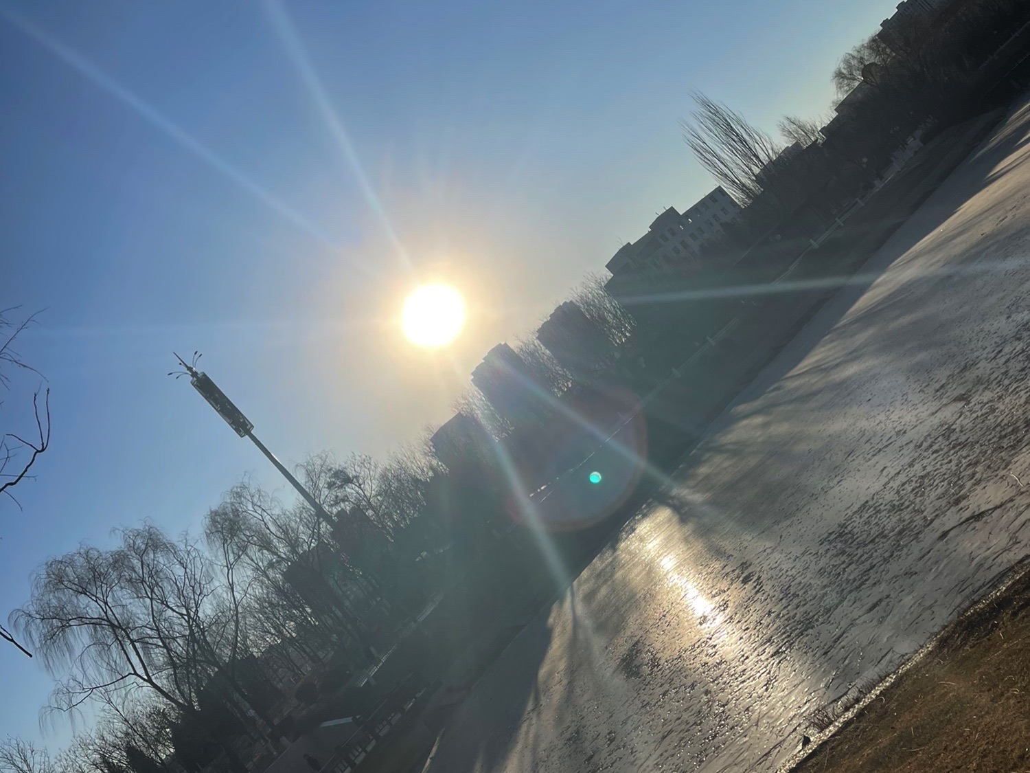 学府公园旅行图片 3