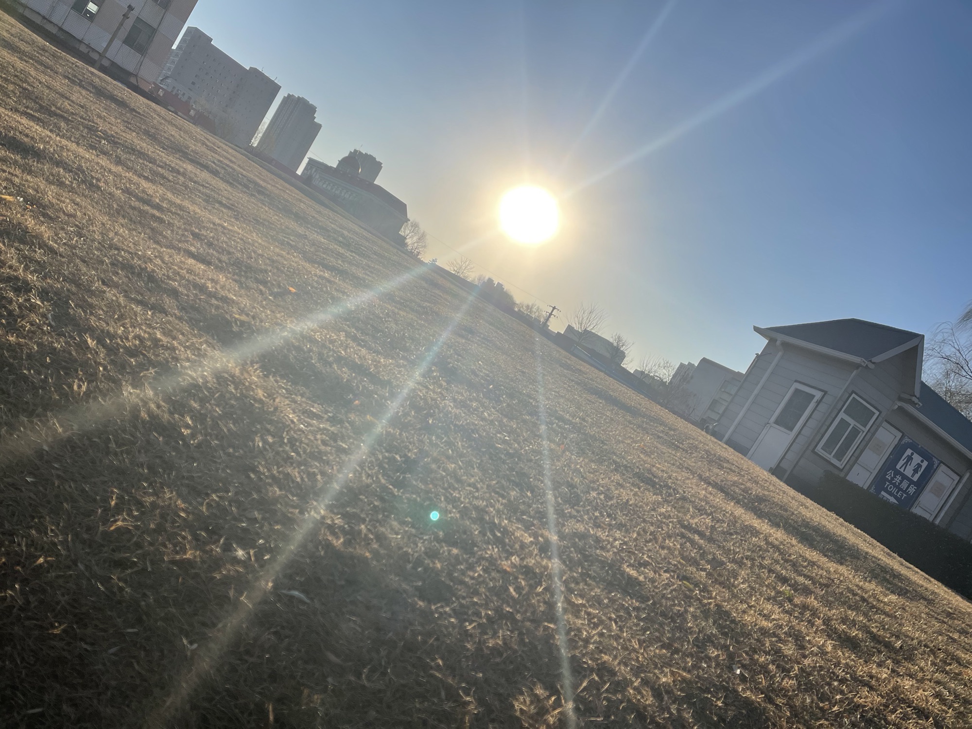 学府公园旅行图片 1