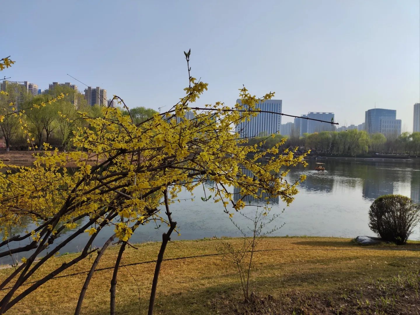 学府公园旅行图片 2