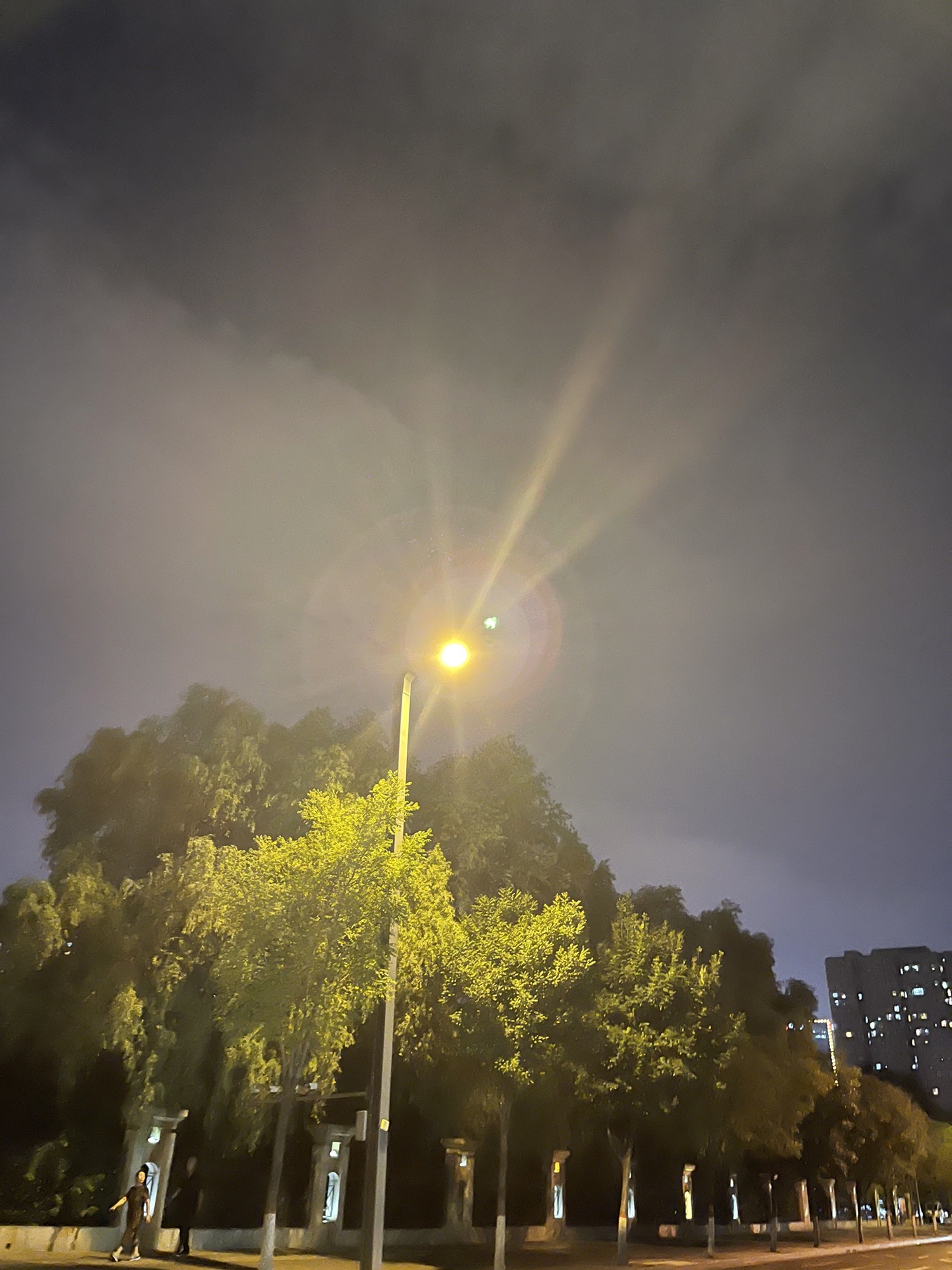 学府公园旅行图片 2
