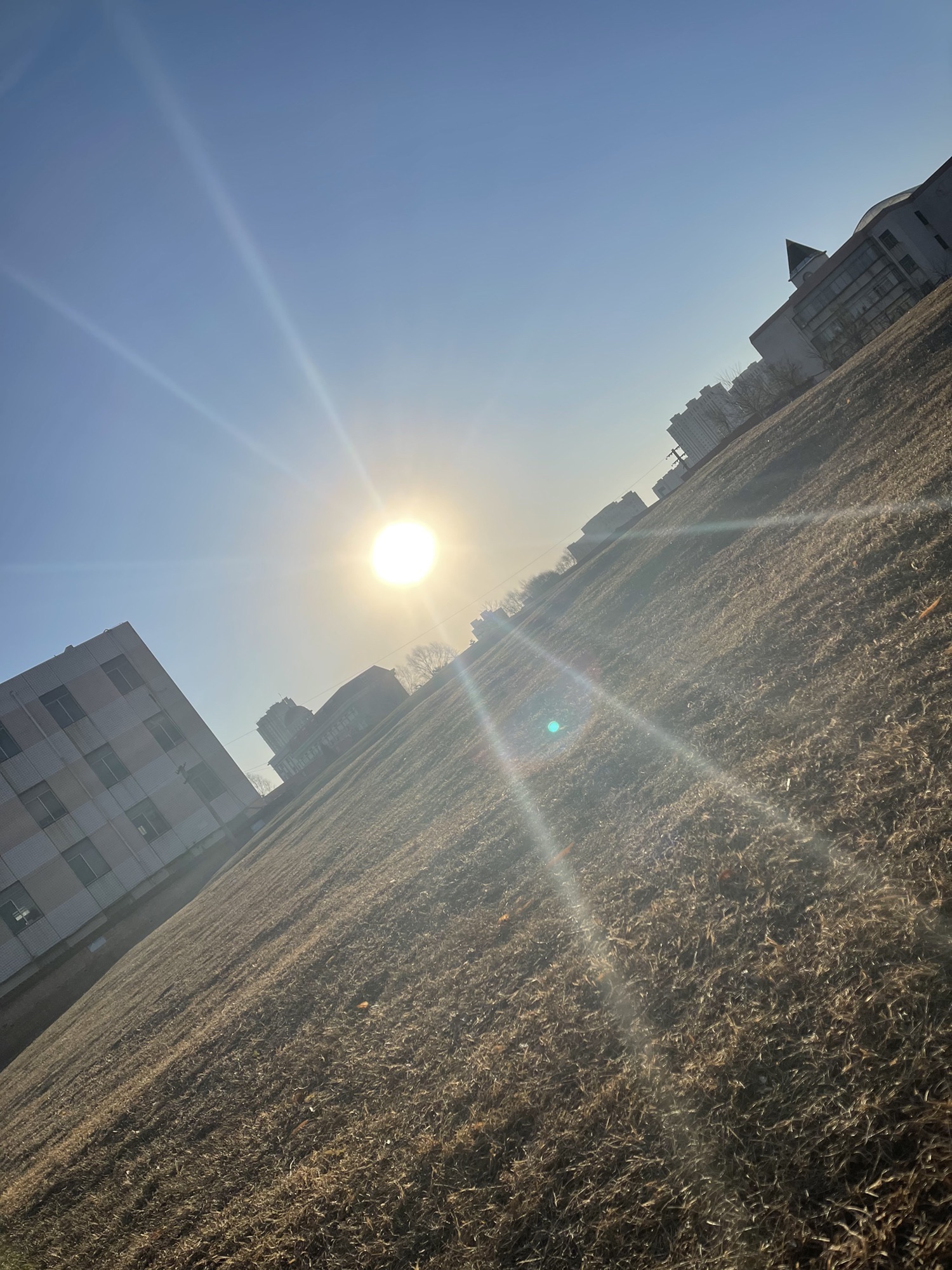 学府公园旅行图片 2