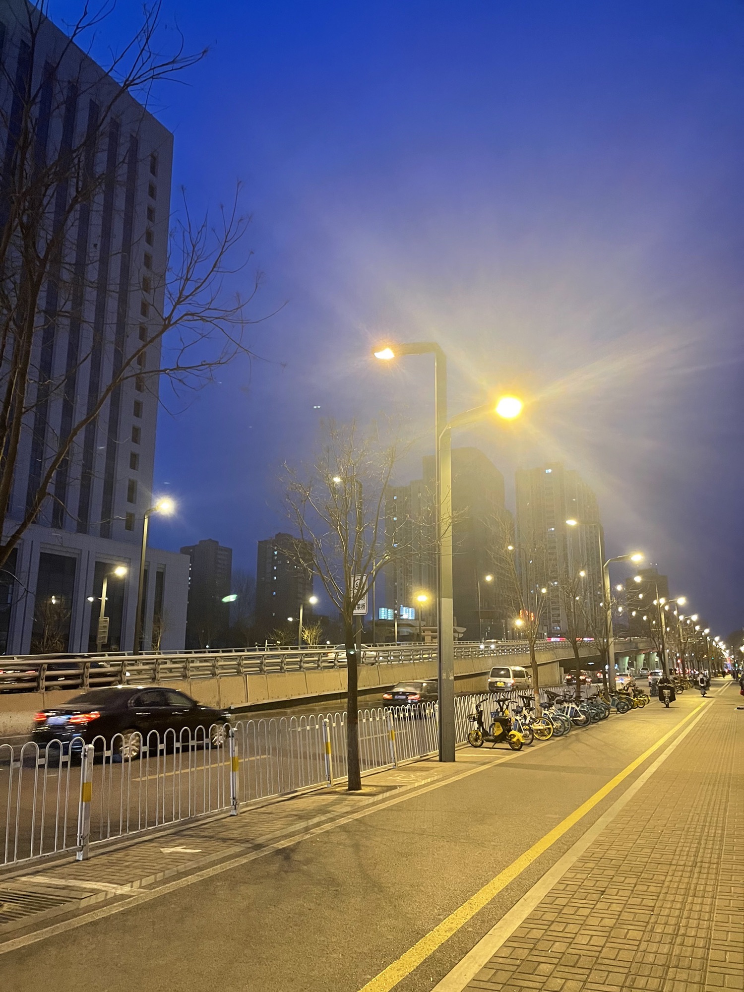 学府公园旅行图片 1