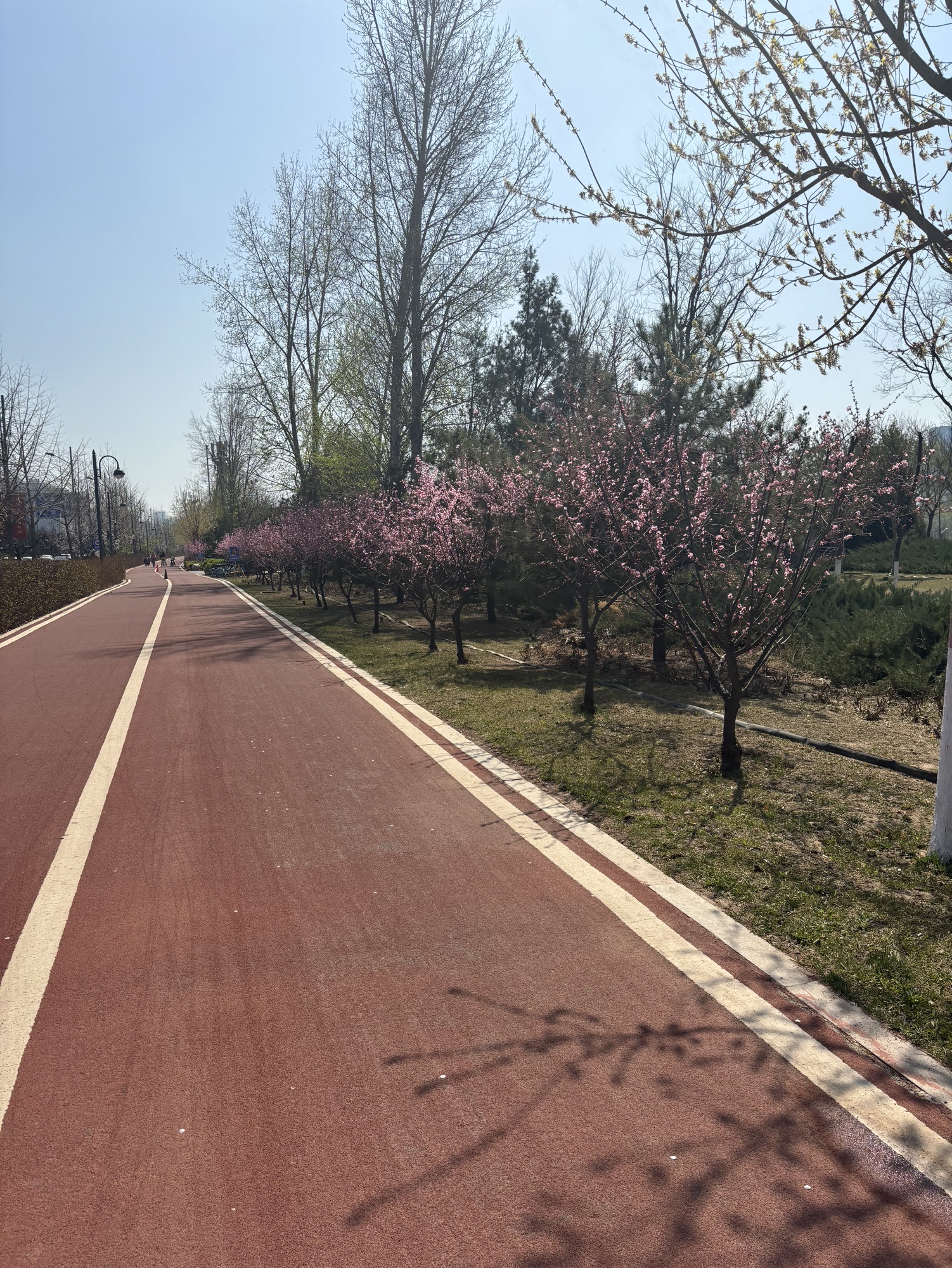 太原市汾河景区旅行图片 2