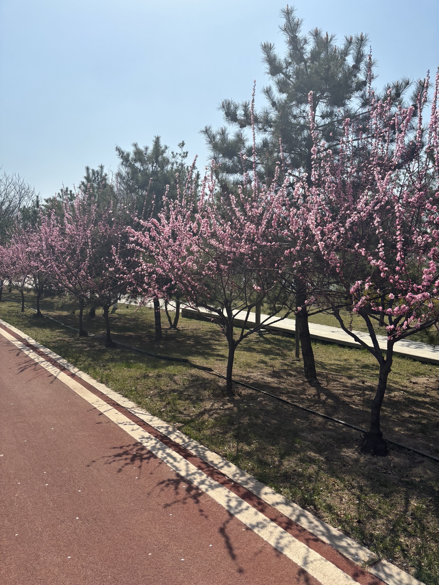 太原市汾河景区旅行图片 1