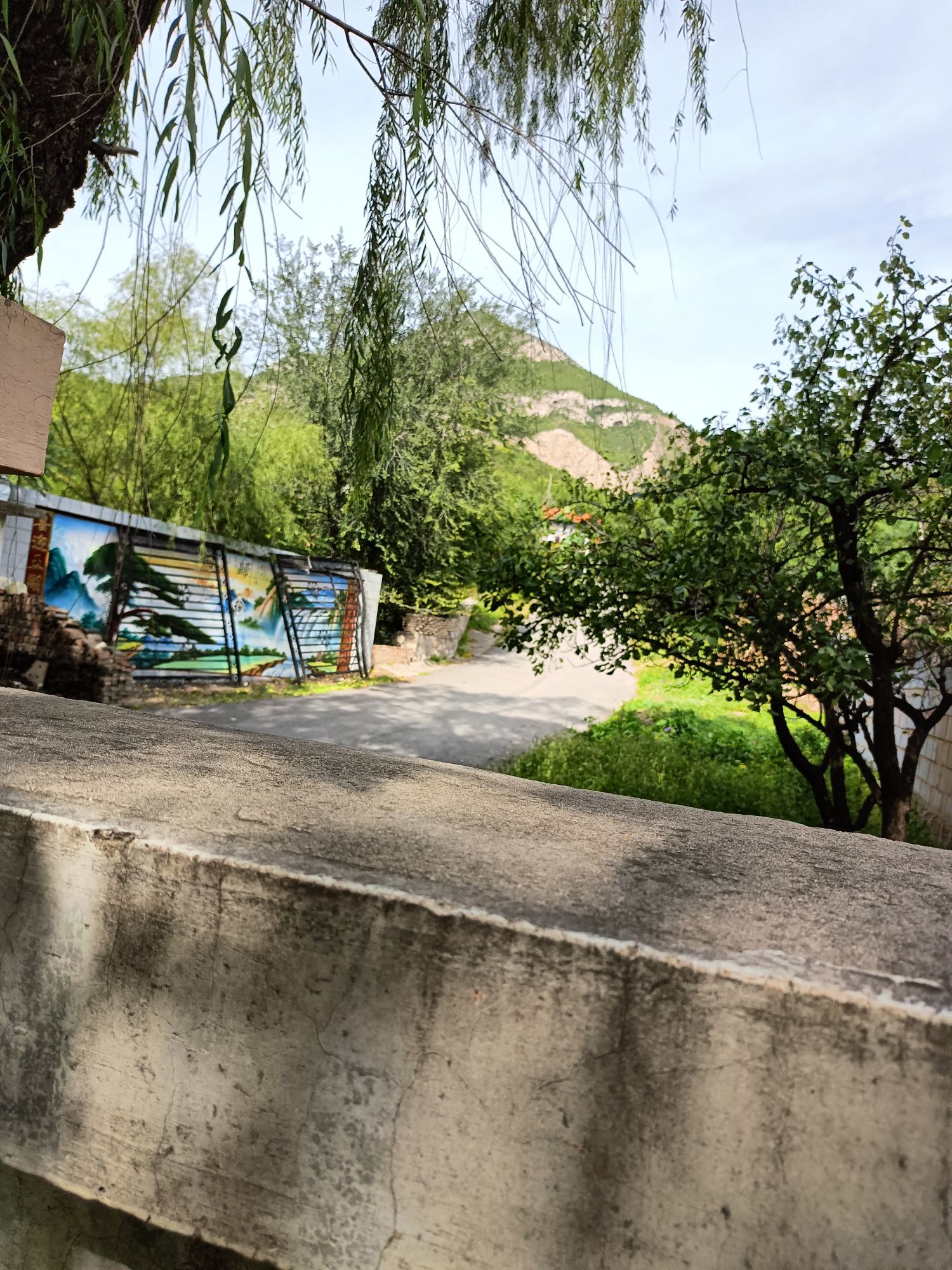 千佛洞旅行图片 3