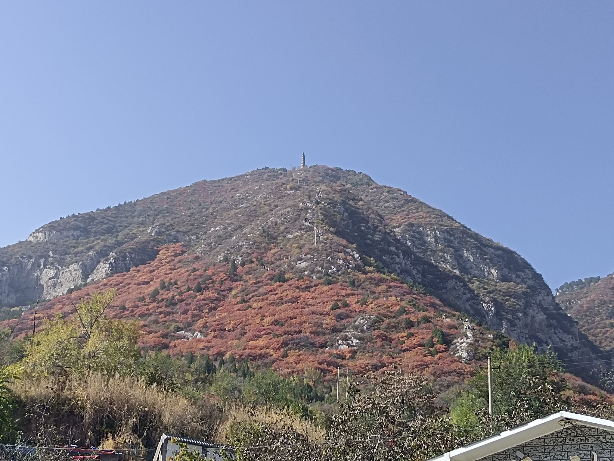 崛围山旅行图片 3
