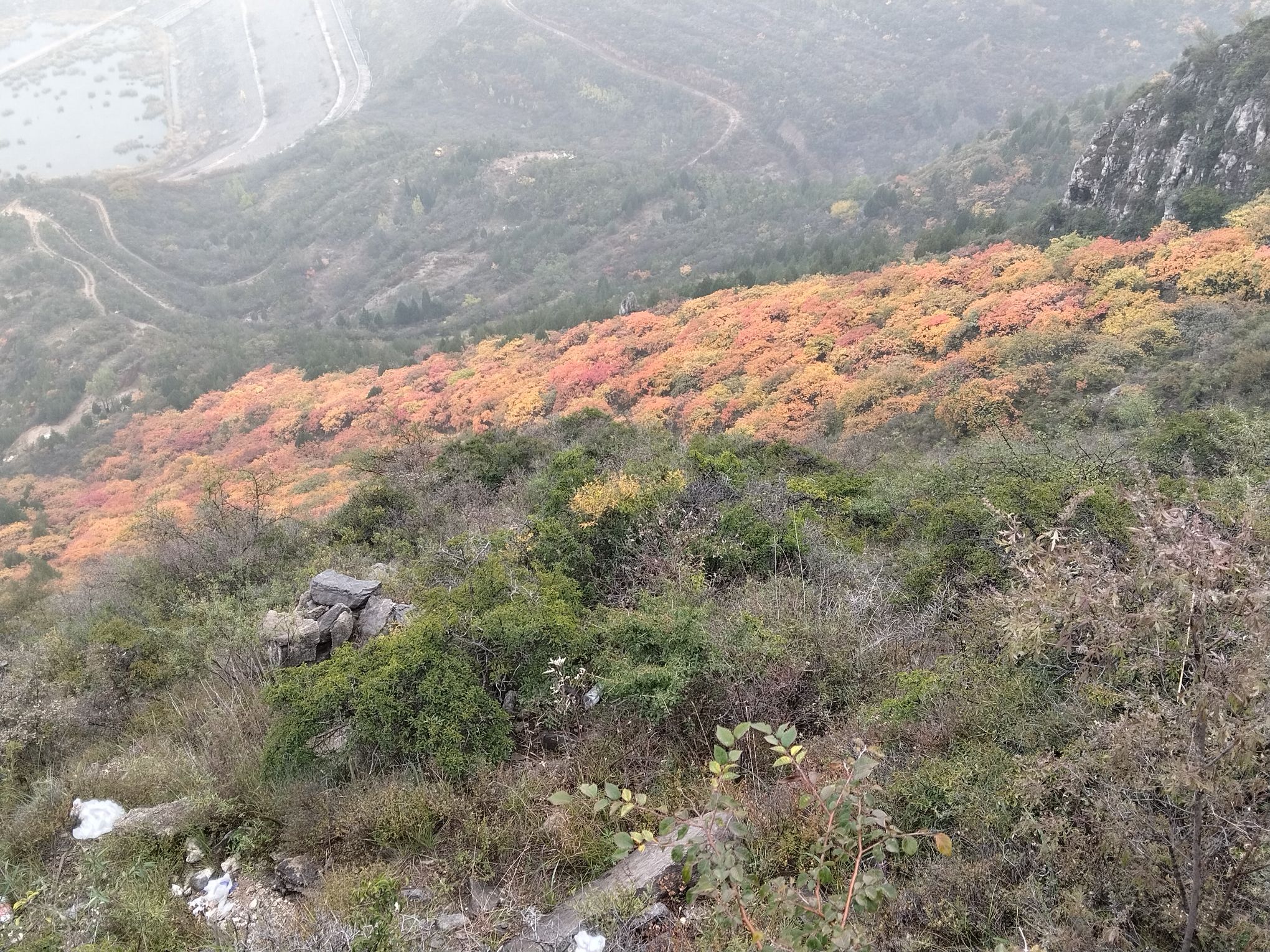 崛围山旅行图片 1