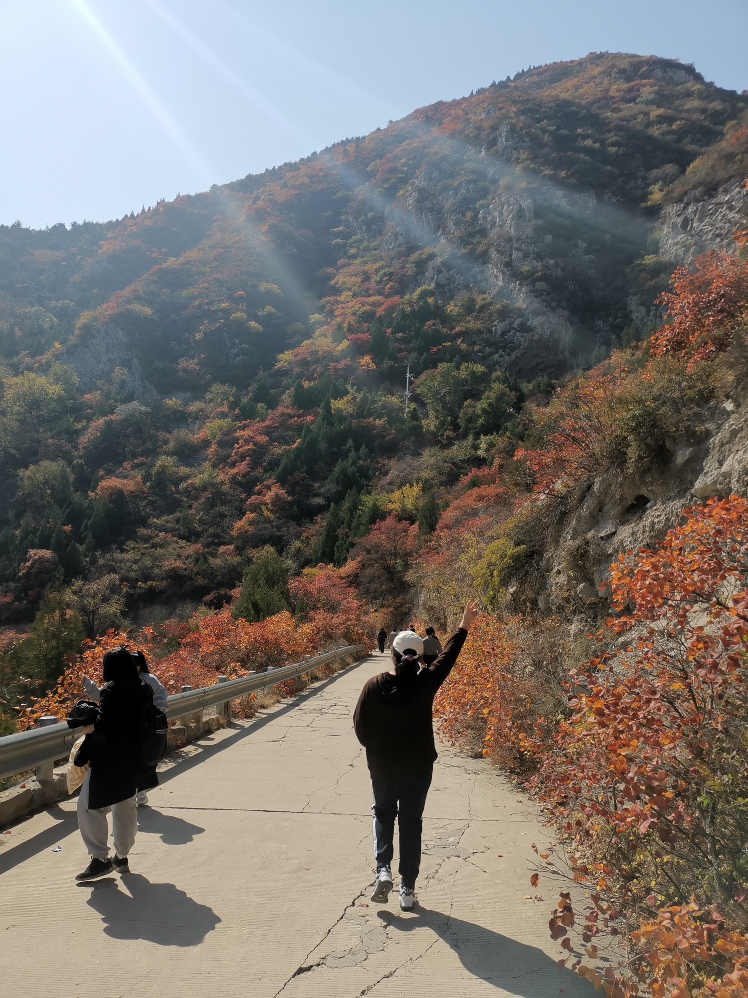 崛围山旅行图片 1
