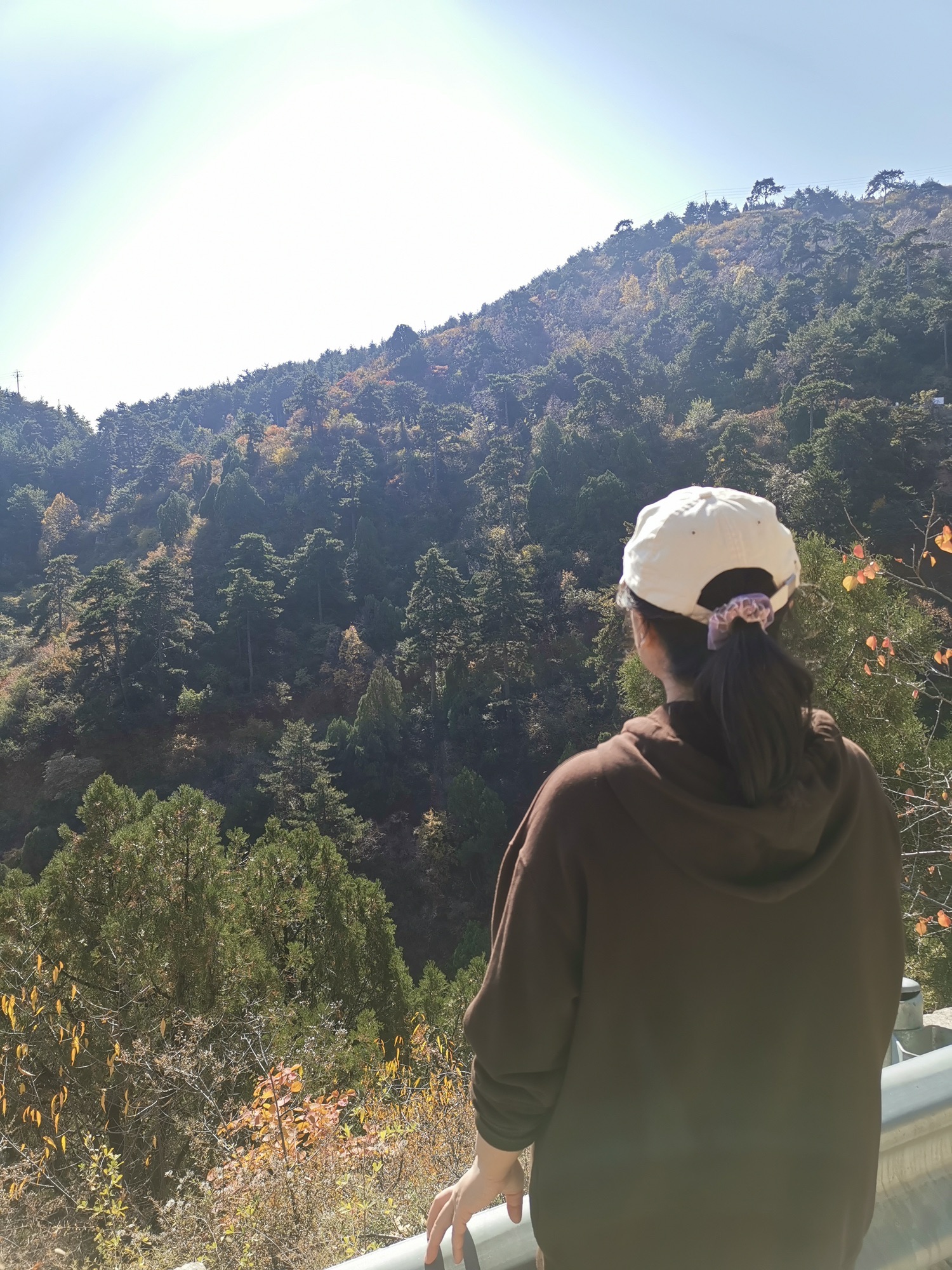 崛围山旅行图片 2