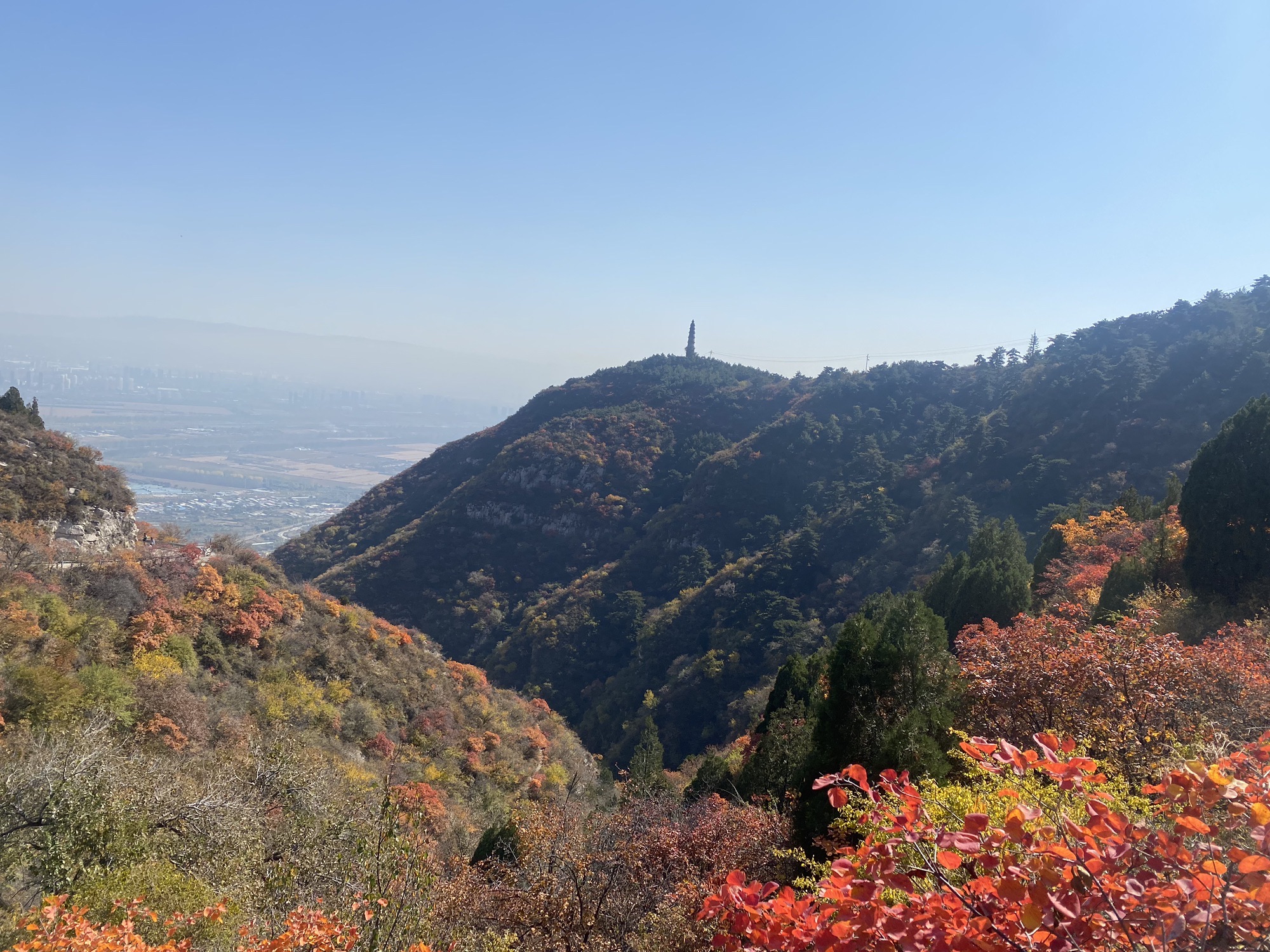 崛围山旅行图片 3