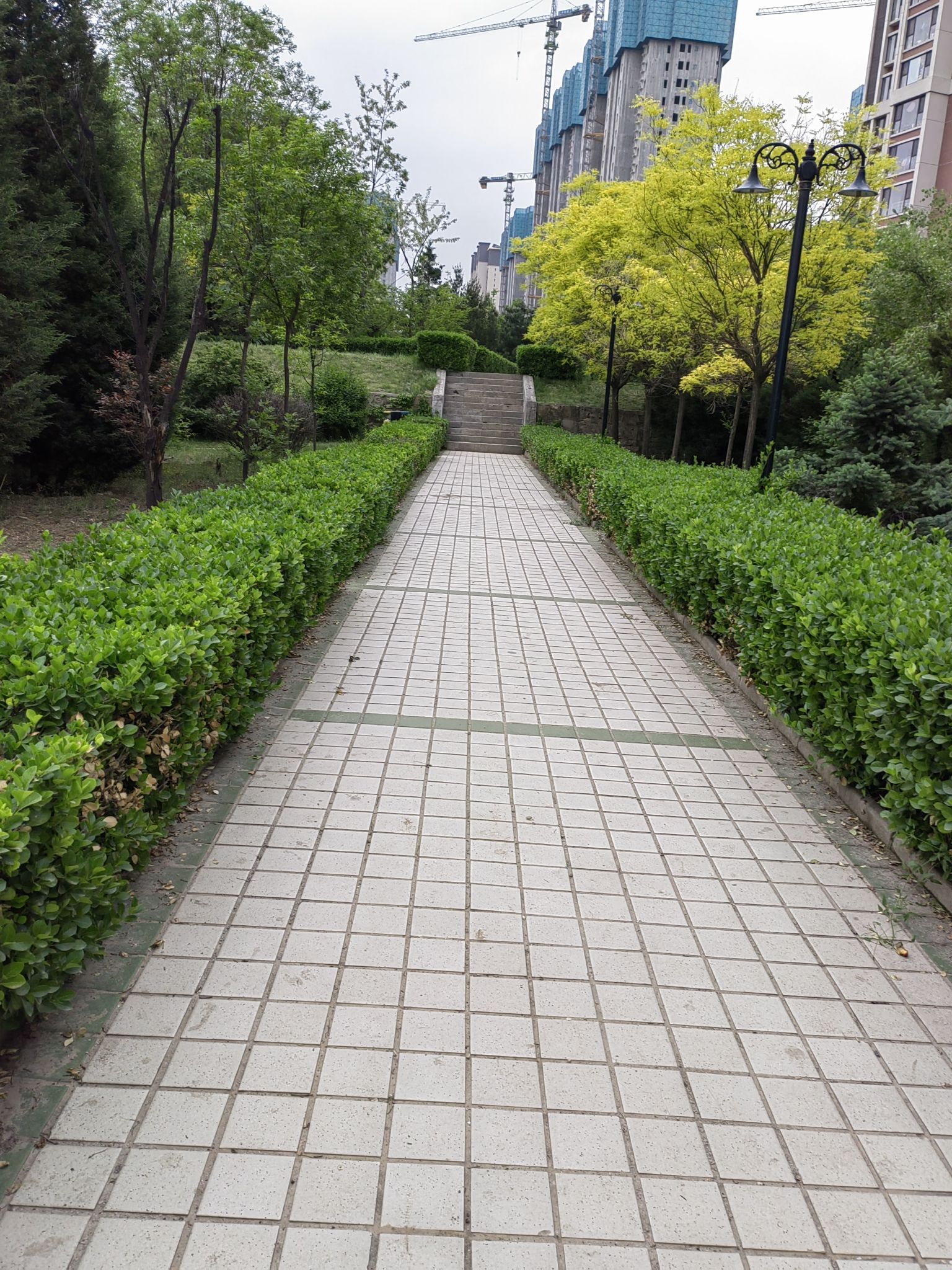 松庄公园旅行图片 1
