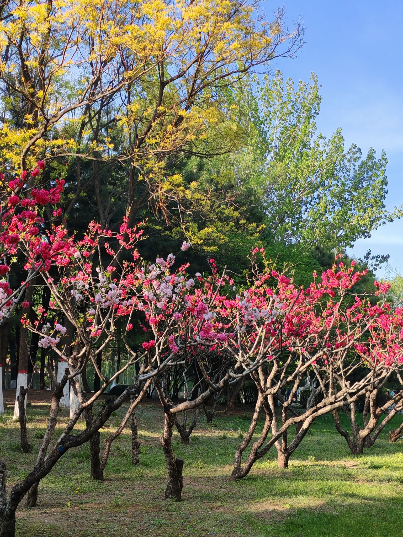 玉门河公园旅行图片 1
