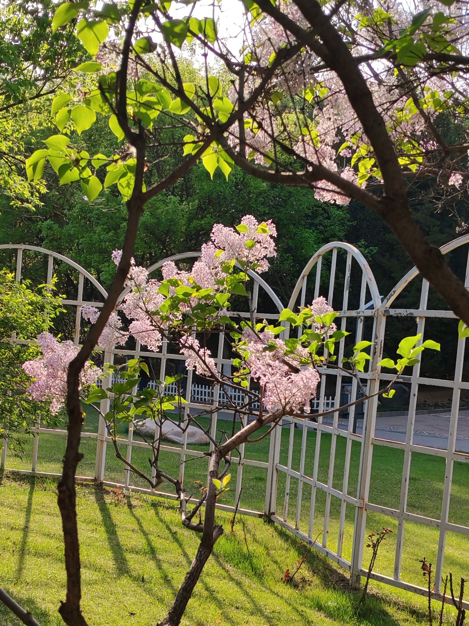 玉门河公园旅行图片 2