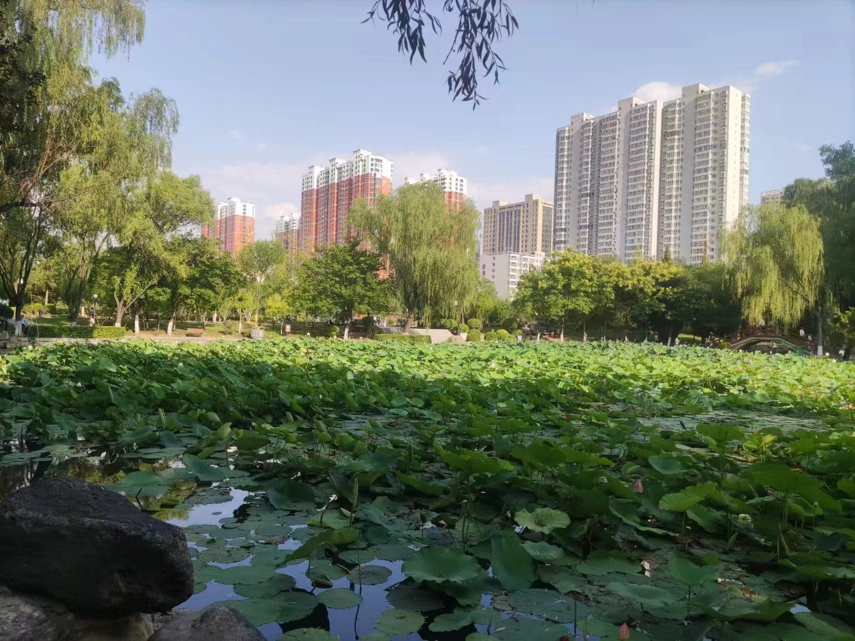 玉门河公园旅行图片 3