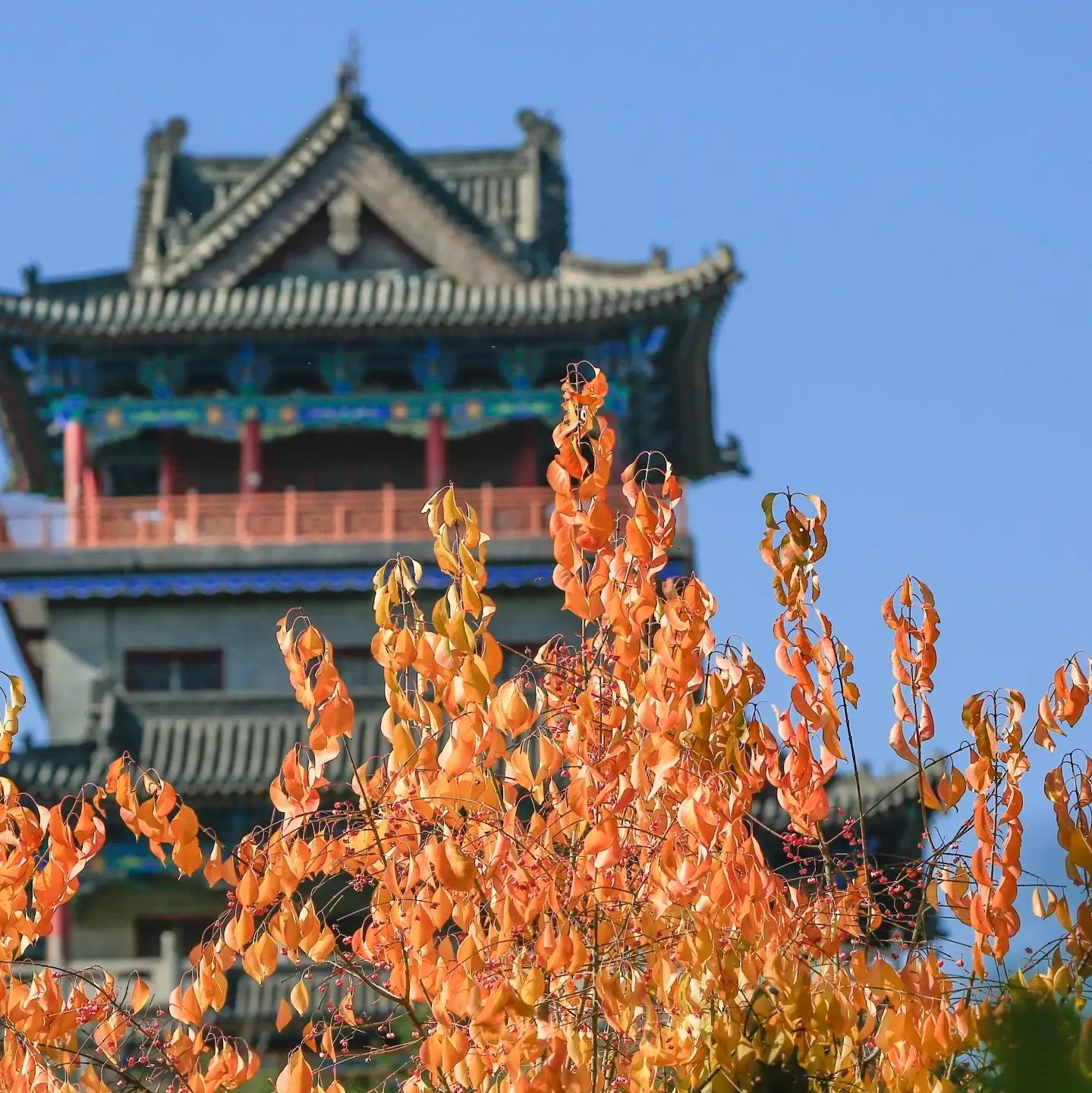 阳兴公园旅行图片 3