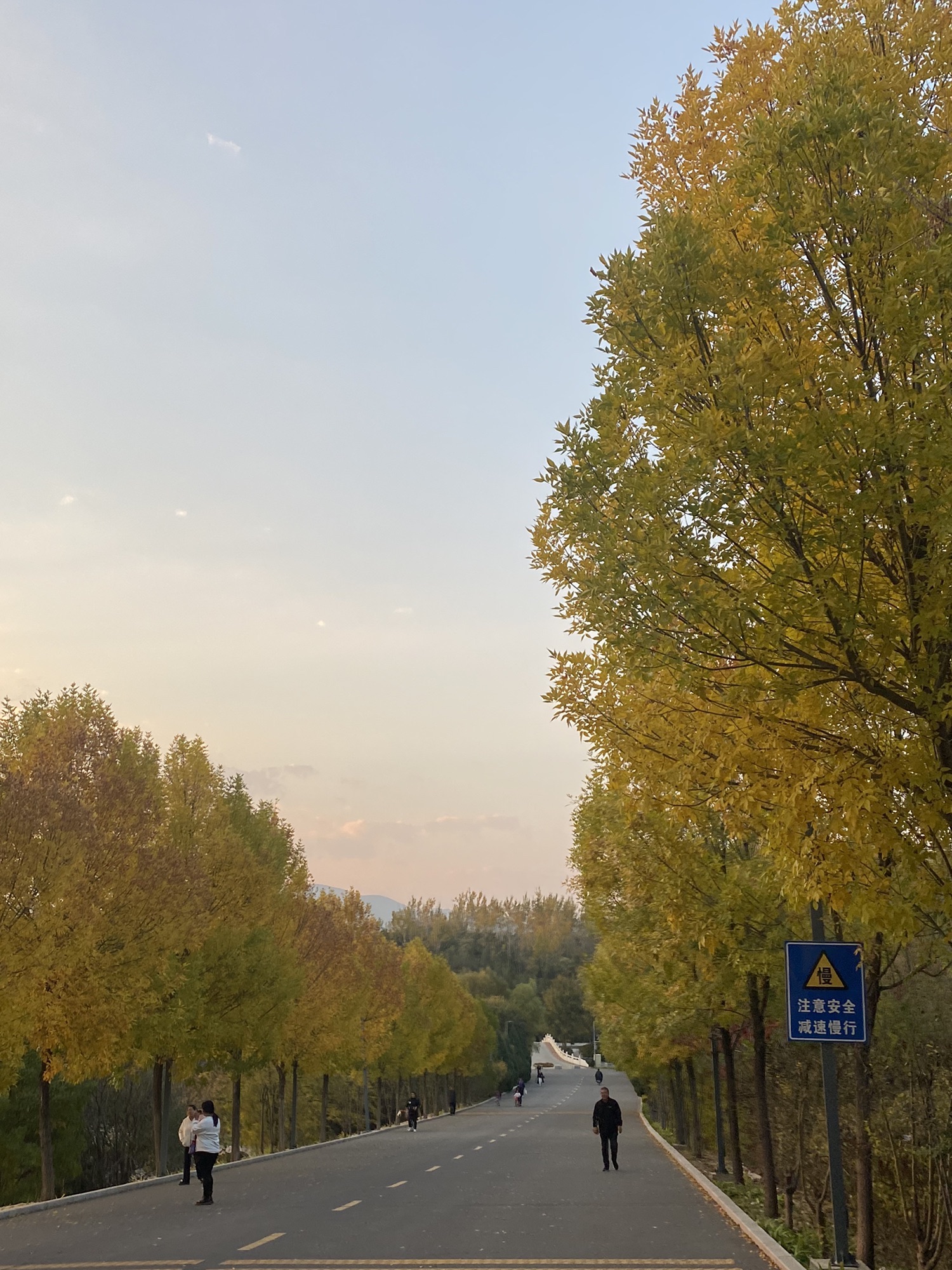 阳兴公园旅行图片 3