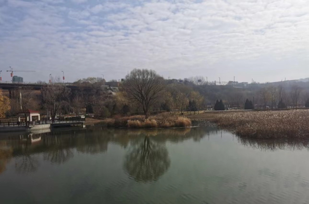阳兴公园旅行图片 3
