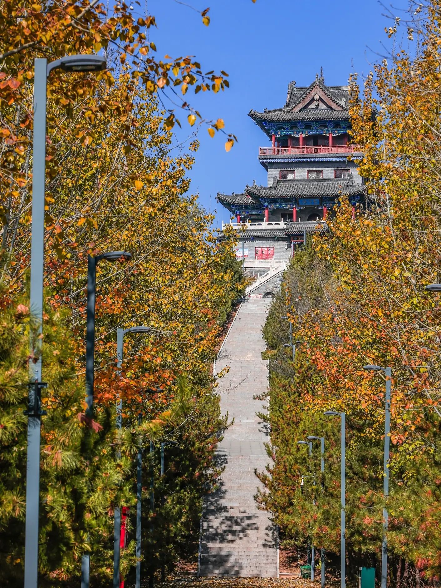 阳兴公园旅行图片 1
