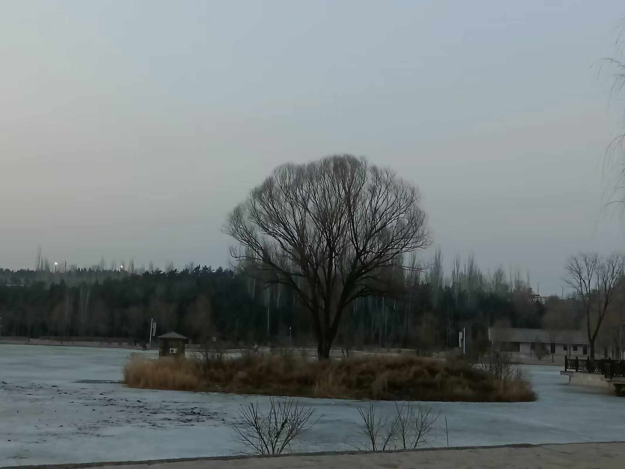 阳兴公园旅行图片 3