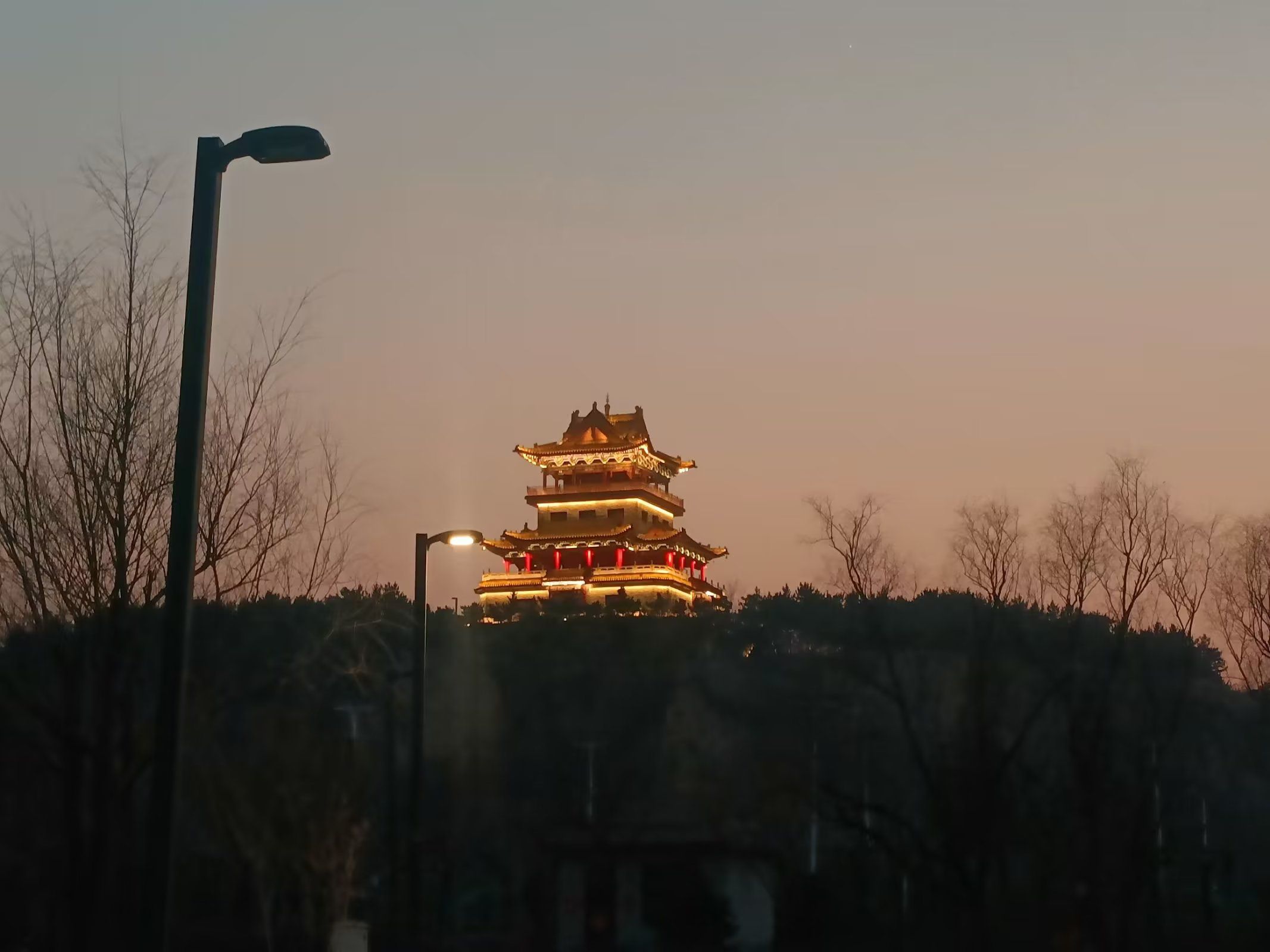 阳兴公园旅行图片 2