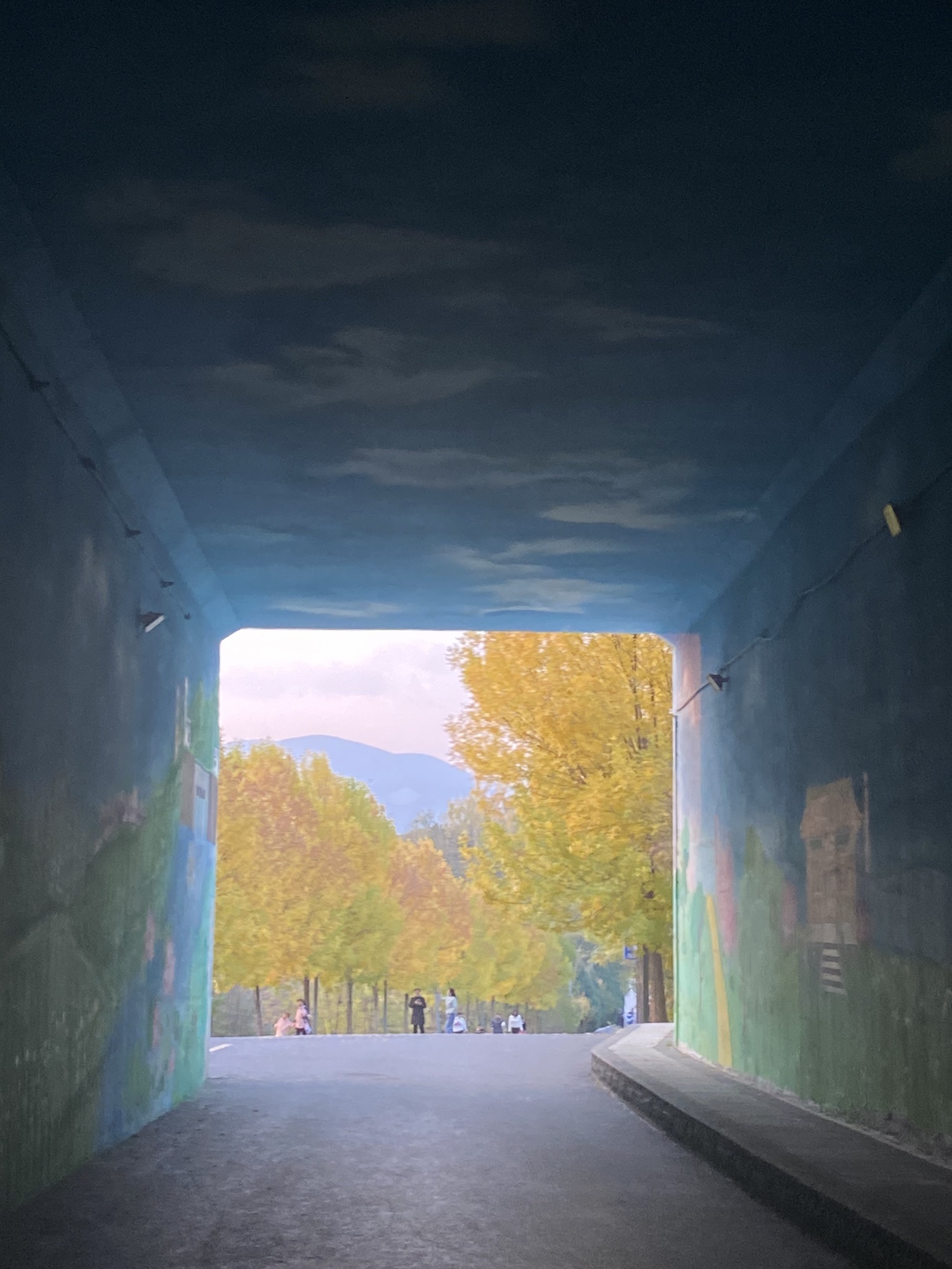 阳兴公园旅行图片 2